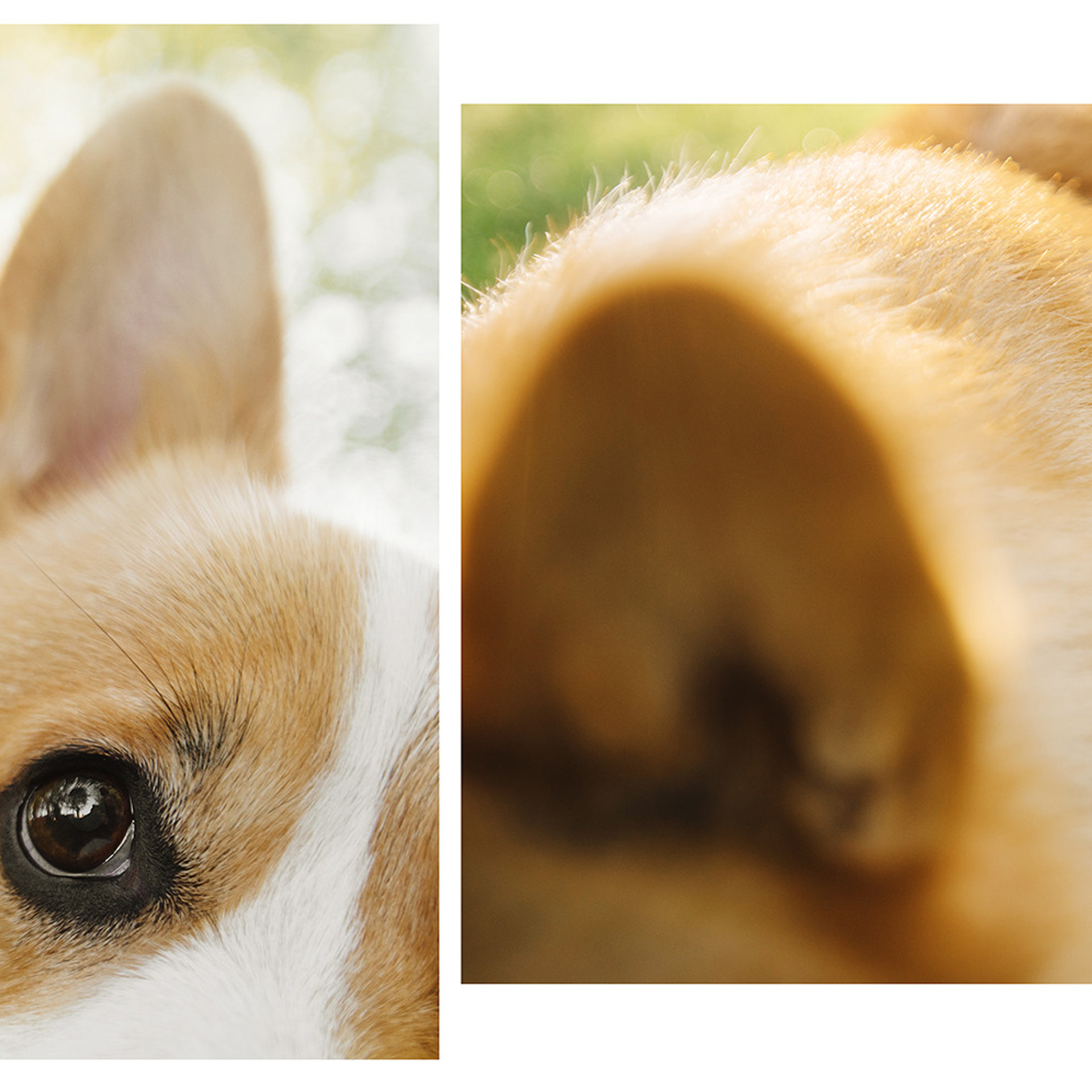 Тим, Ира и Тимур. Фотограф Анна Тюрина