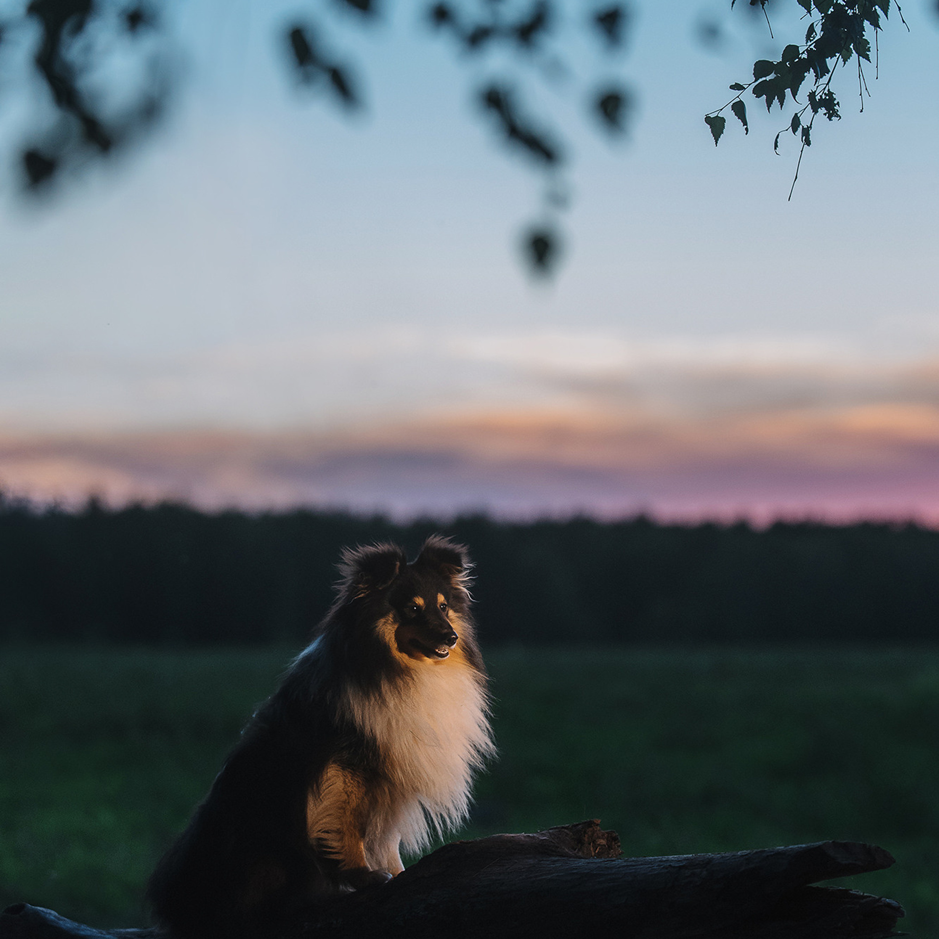 Евгения и семья. Фотограф Анна Тюрина