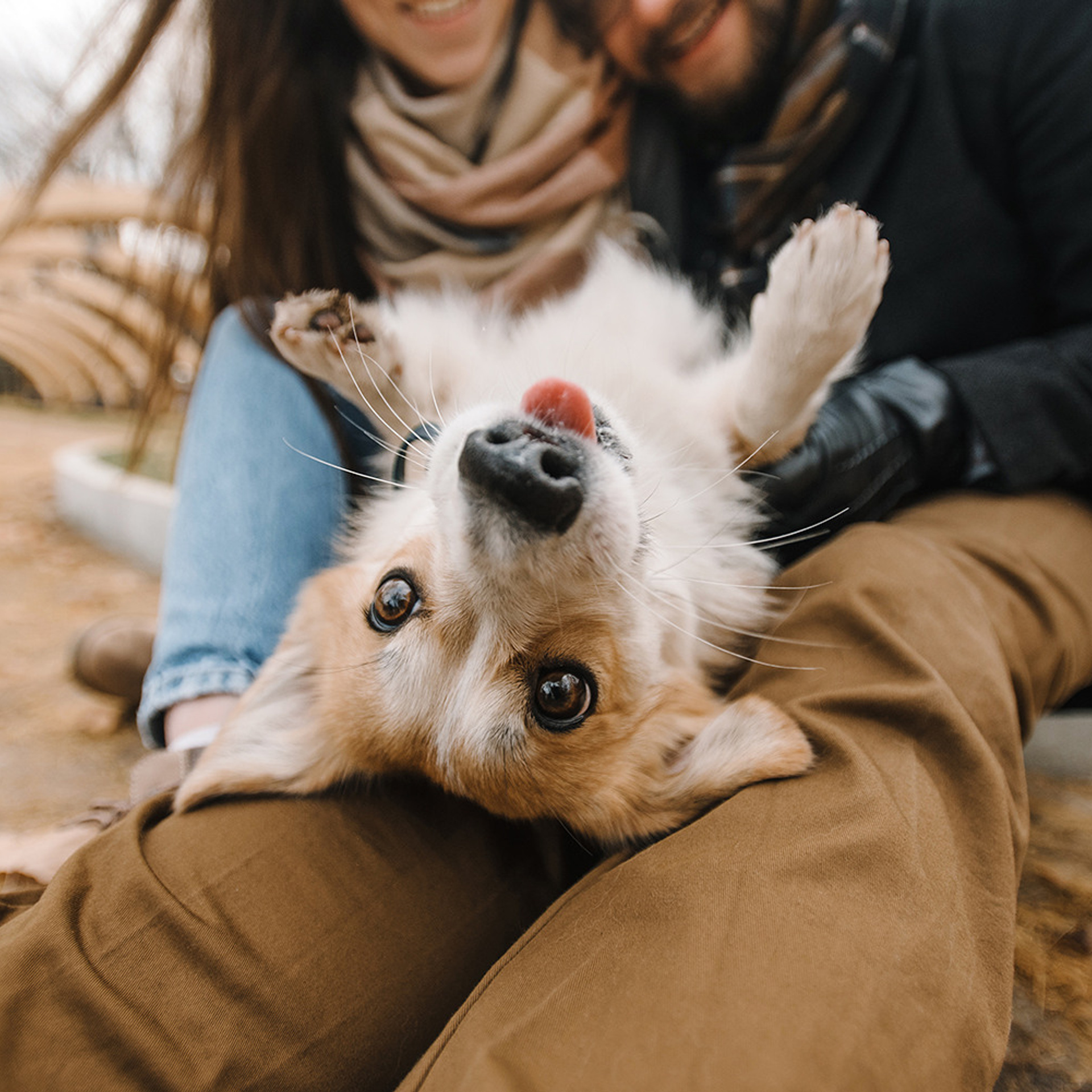 Катя, Саша и корги Люси. Фотограф Анна Тюрина