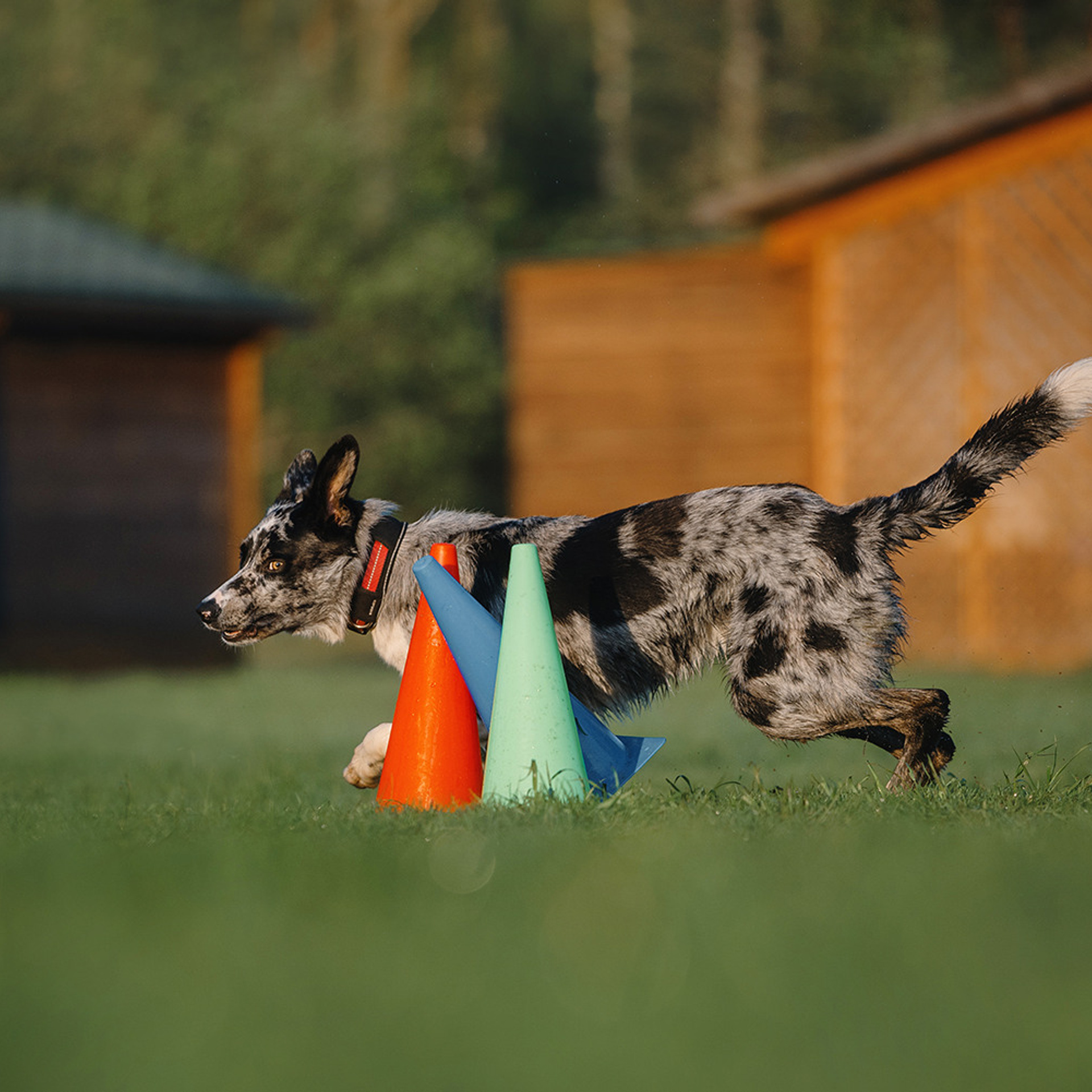 Наталья и Уран. Фотограф Анна Тюрина