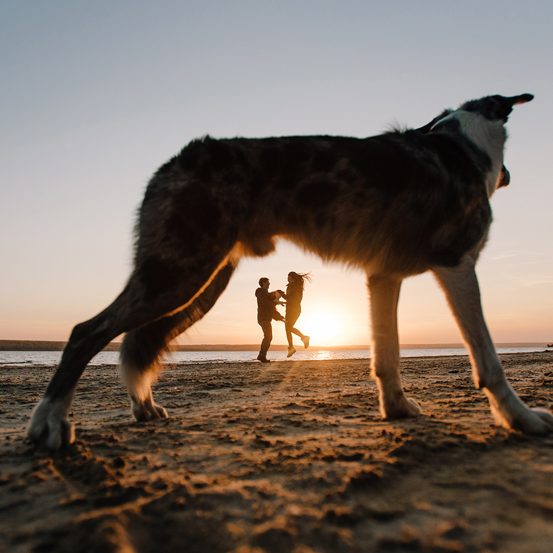 Сева, Даша, Аса, Кит. Фотограф Анна Тюрина