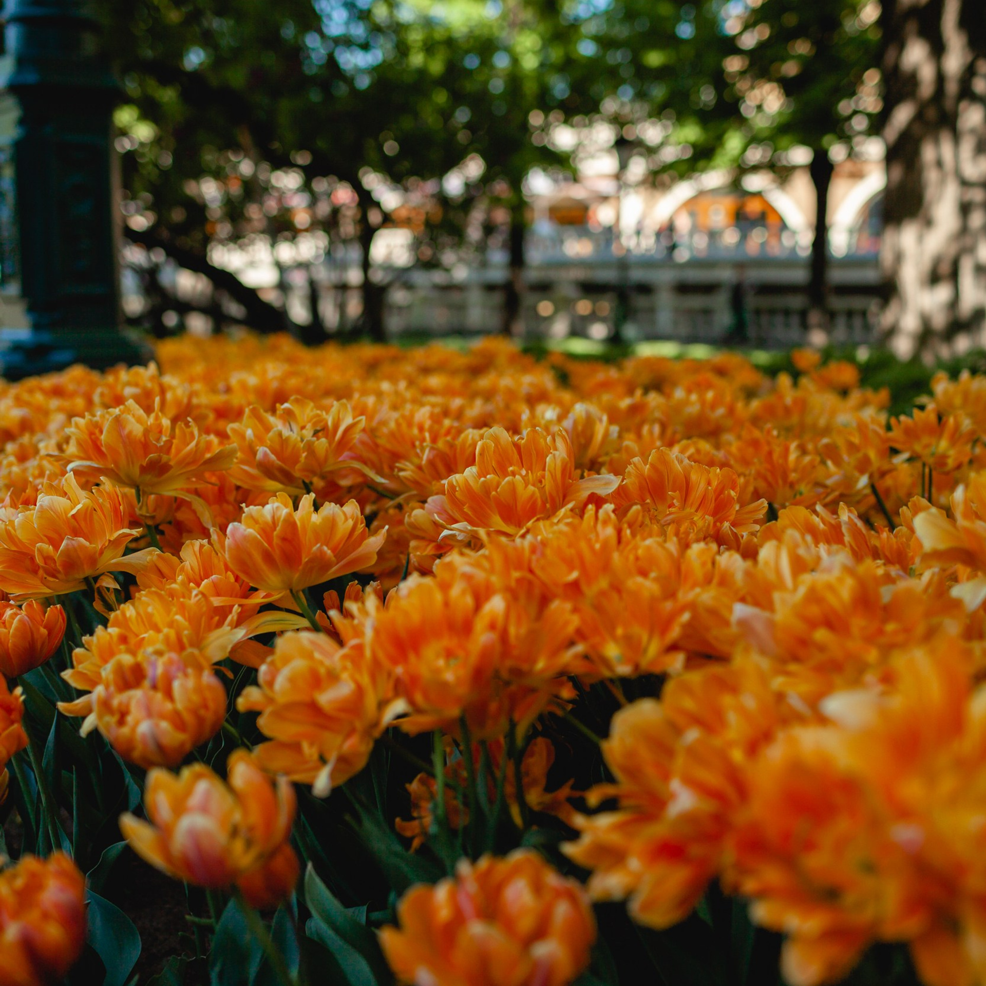 Отзывы. Главная