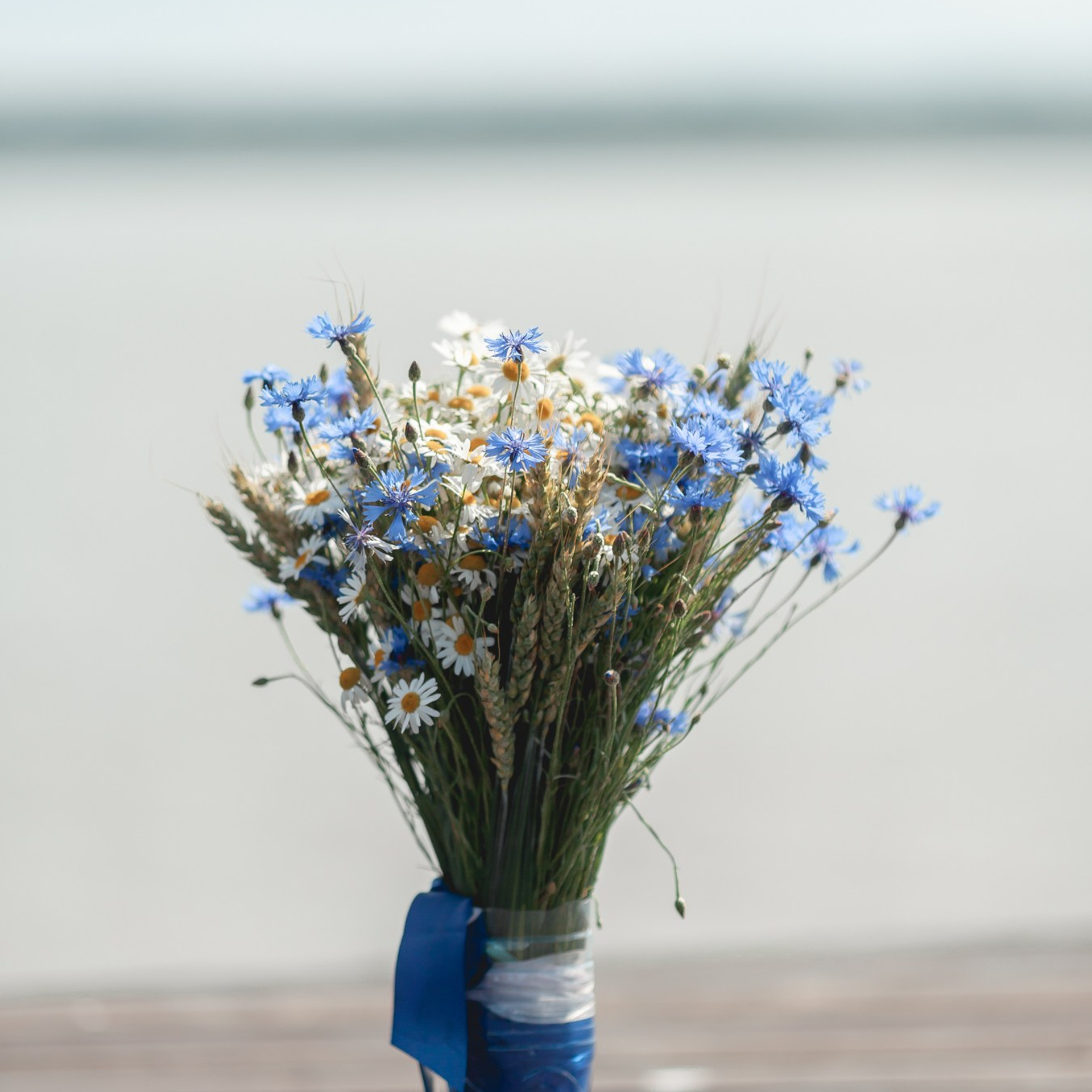 Отзывы. Главная