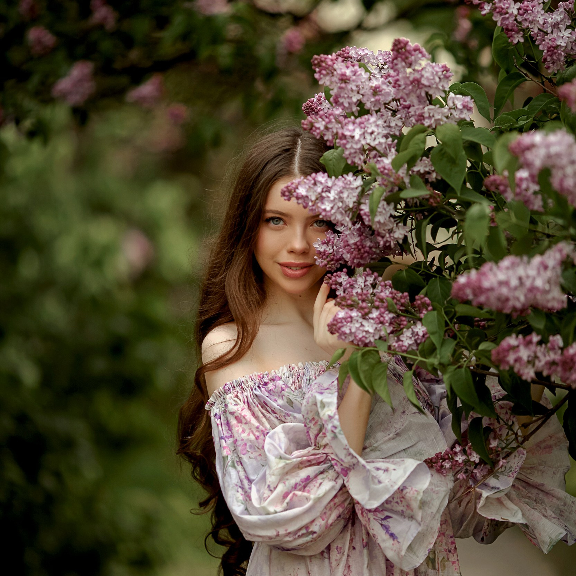 Цвет Сирени