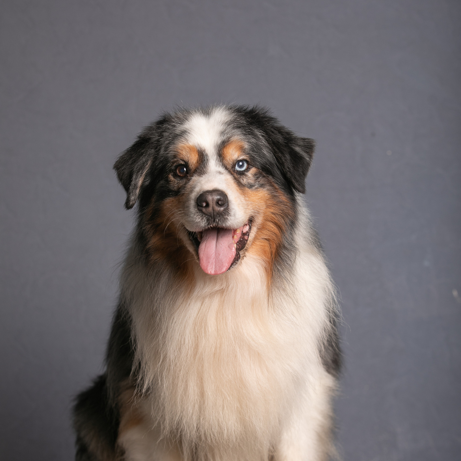 Отзывы. Профессиональный фотограф Чехарина Анна / pro photographer Chekharina