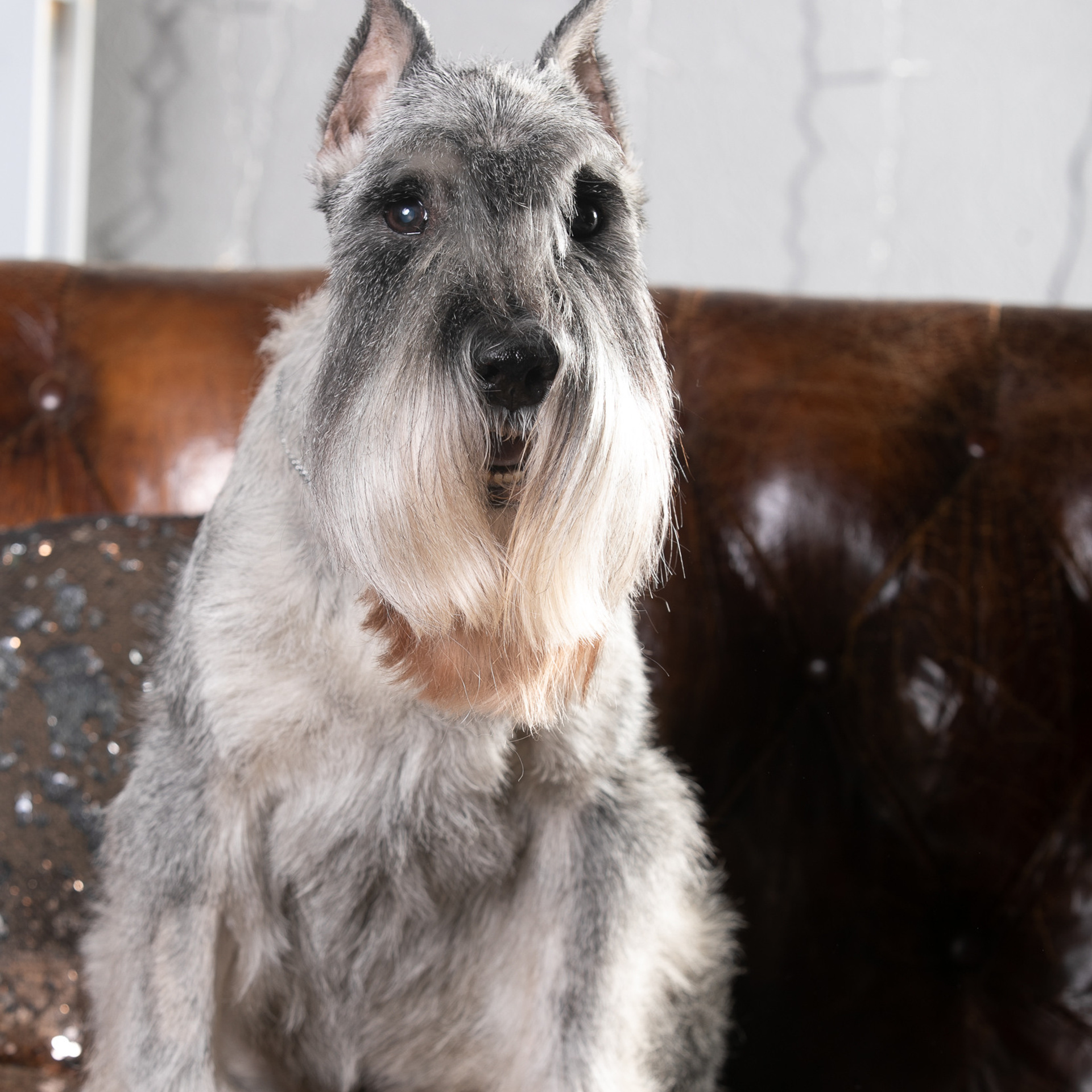 Отзывы. Профессиональный фотограф Чехарина Анна / pro photographer Chekharina