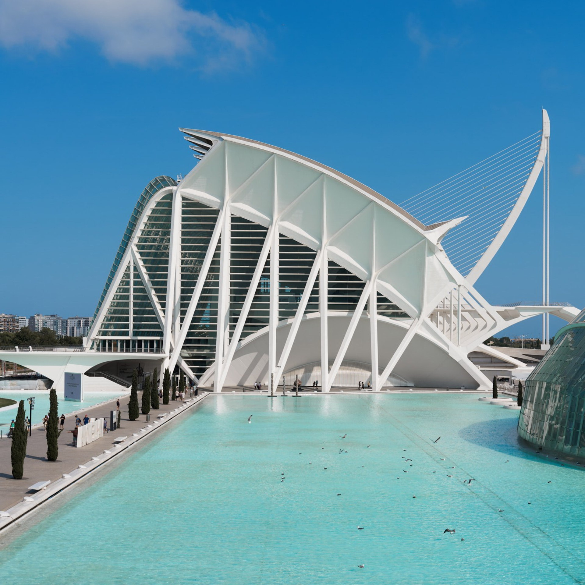 Ciudad de las Artes y las Ciencias Valencia, Ciutat de les Arts i les Ciències València, Город искусств и наук Валенсия, City of Arts and Sciences Valencia, City of Arts and Industry Valencia, architecture photography