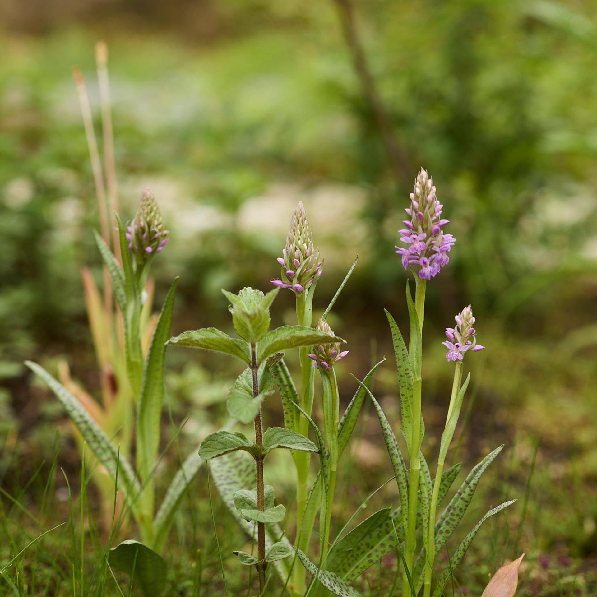 фотограф ландшафта