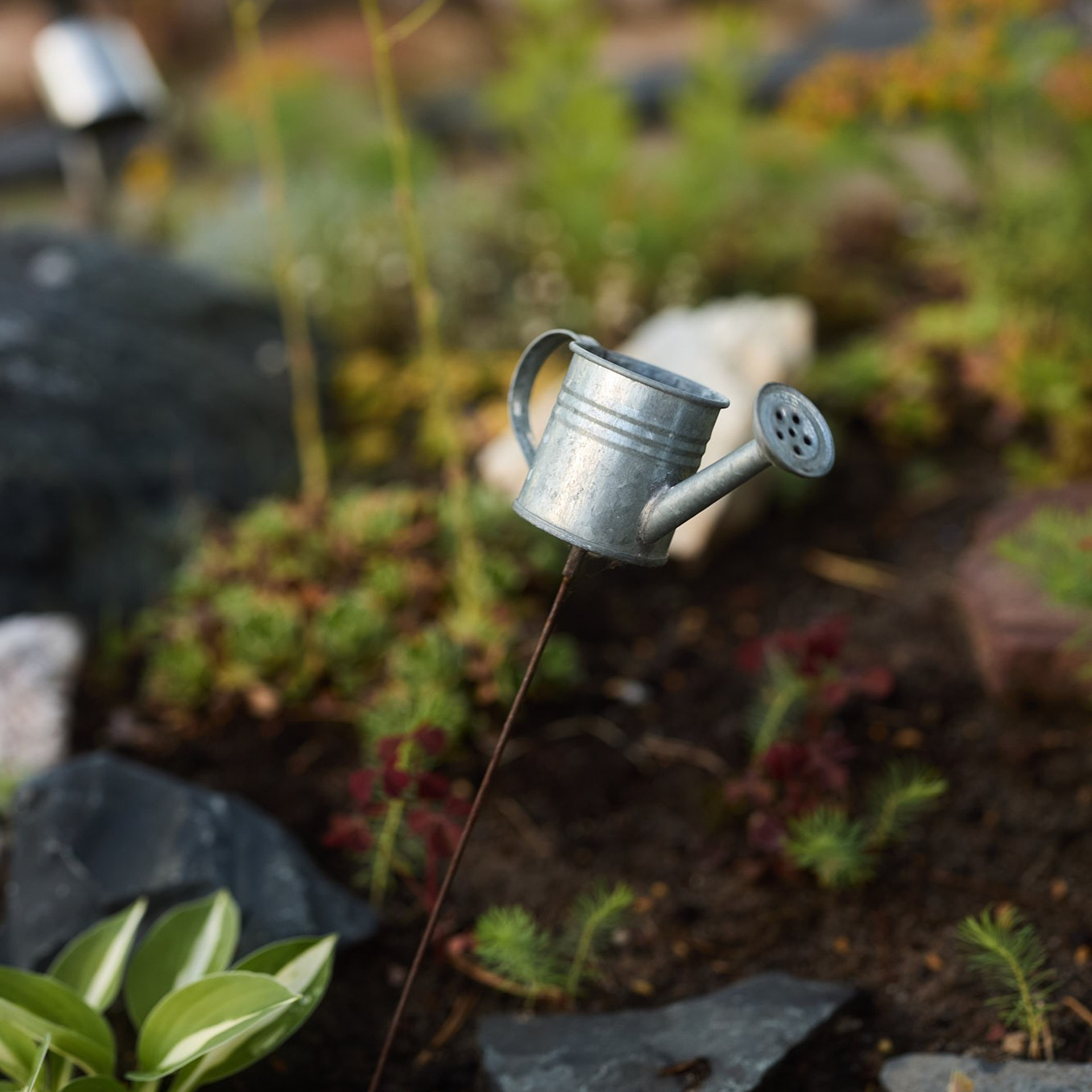 Фотосъемка садов. Интерьерный фотограф и видеограф в Санкт-Петербурге и Москве