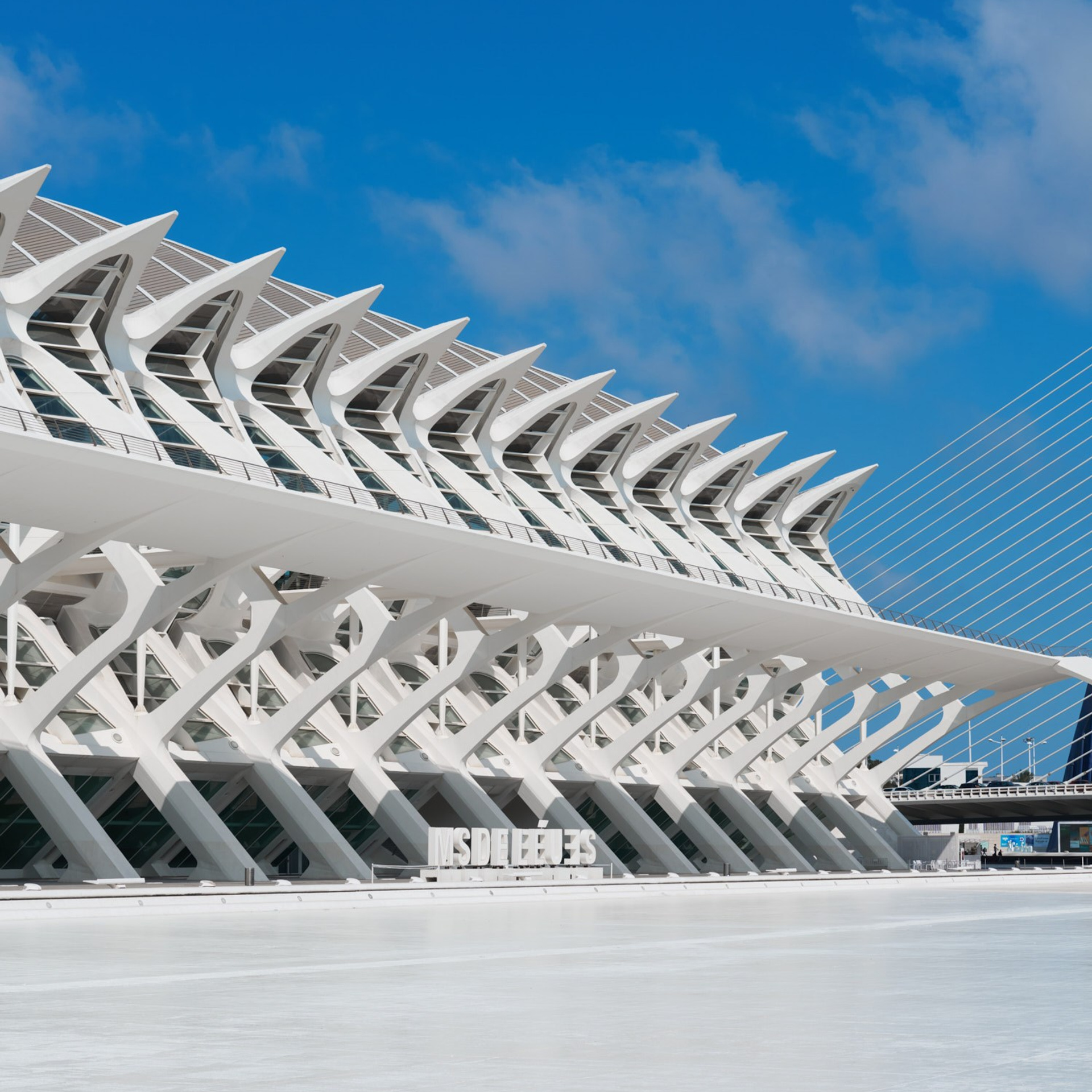 Ciudad de las Artes y las Ciencias Valencia, Ciutat de les Arts i les Ciències València, Город искусств и наук Валенсия, City of Arts and Sciences Valencia, City of Arts and Industry Valencia, architecture photography
