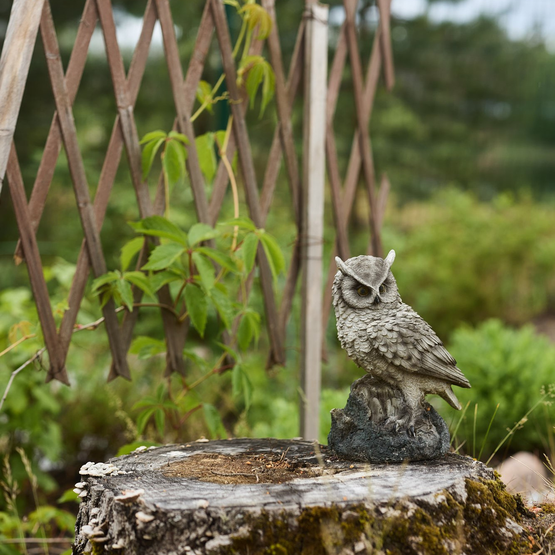 ландшафтный фотограф