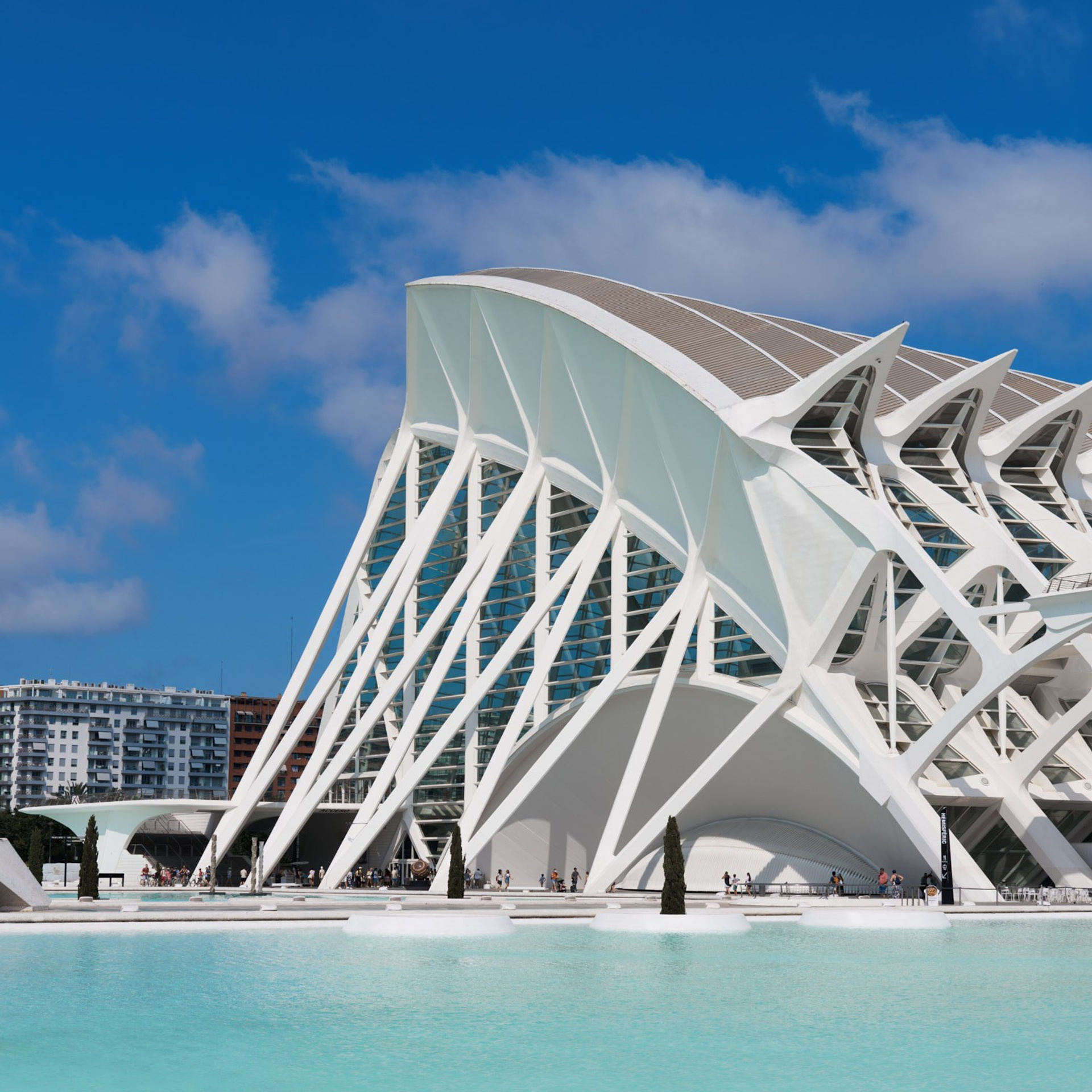 Ciudad de las Artes y las Ciencias Valencia, Ciutat de les Arts i les Ciències València, Город искусств и наук Валенсия, City of Arts and Sciences Valencia, City of Arts and Industry Valencia, architecture photography