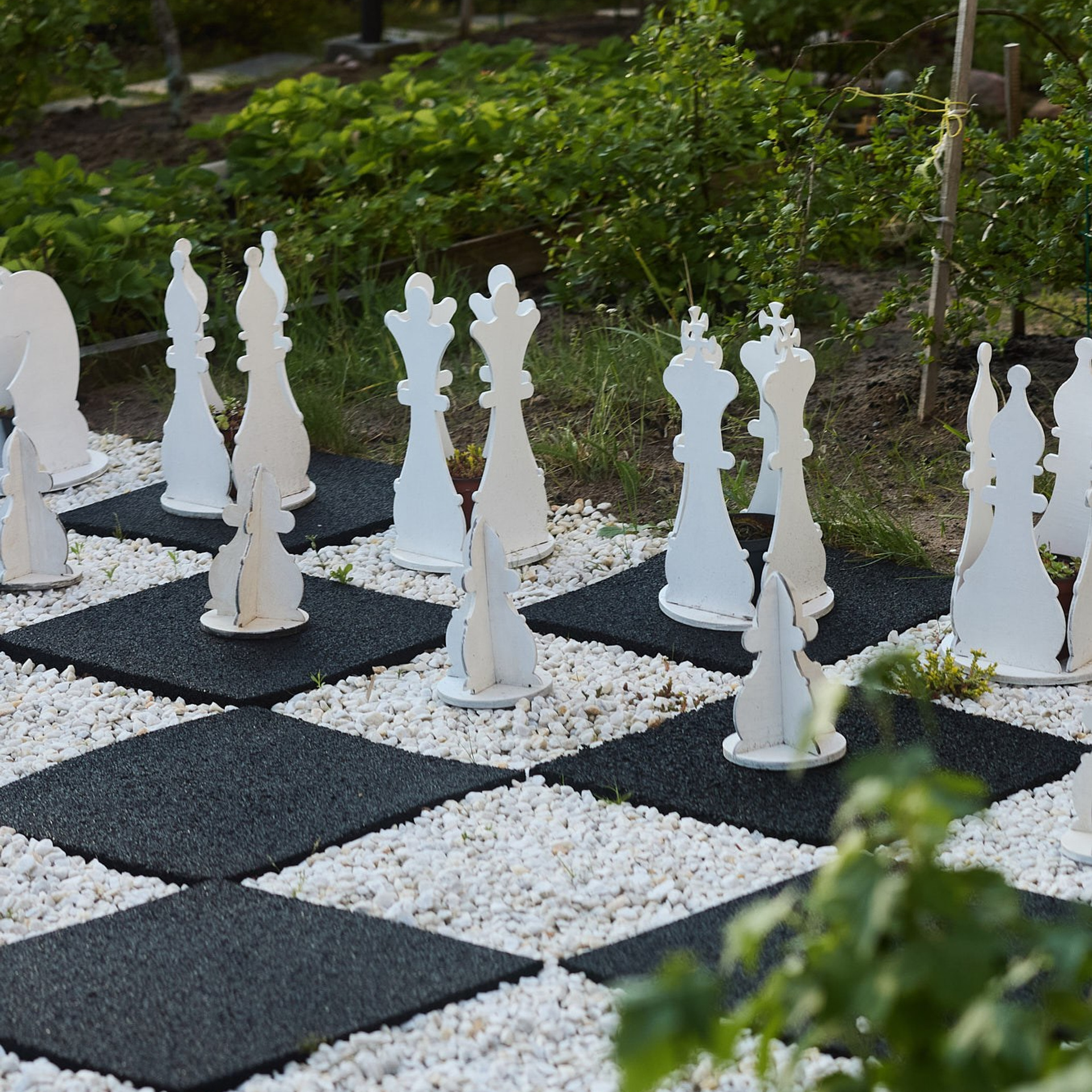 фотограф сада