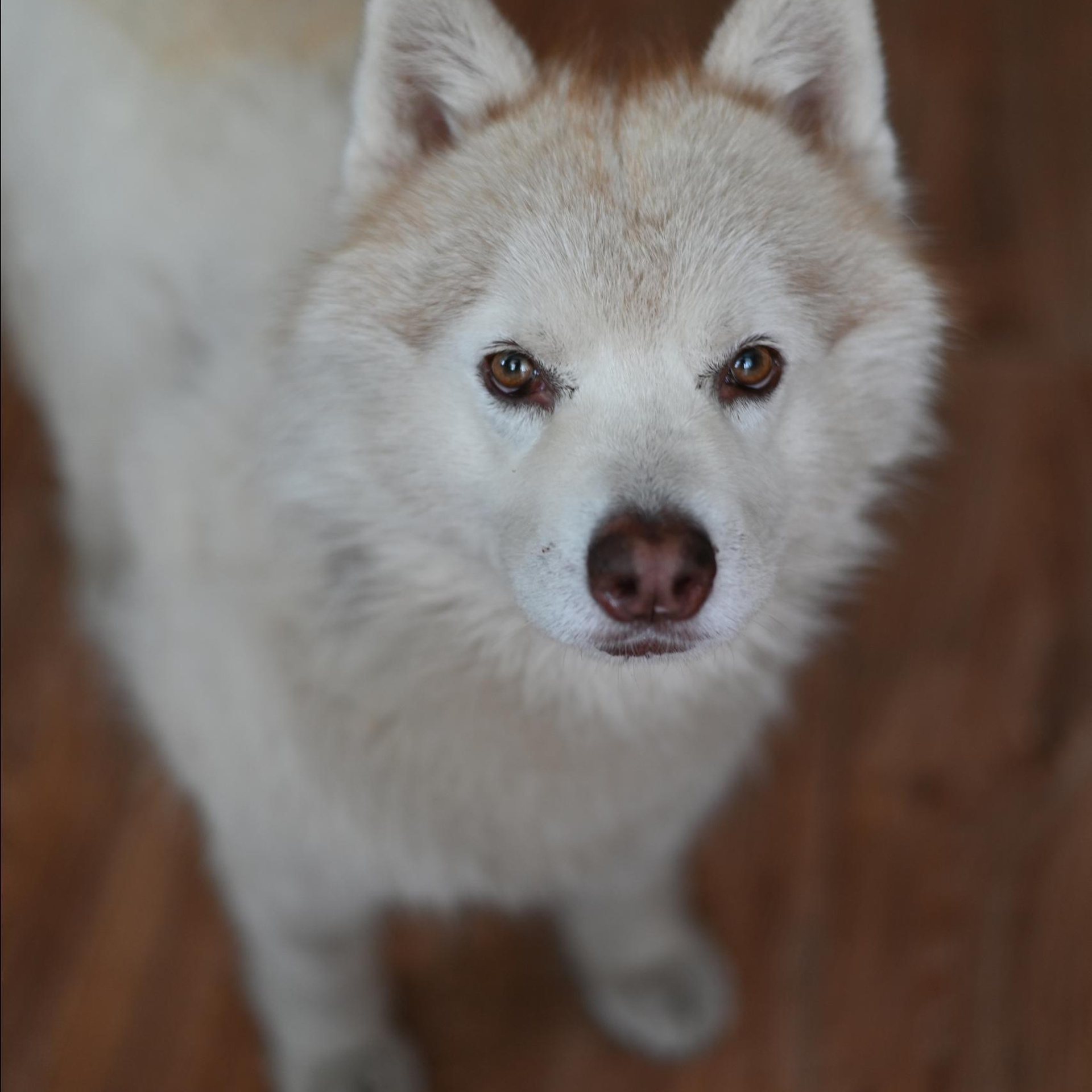 Отзывы. Контент фотограф в г. Иваново Канаева Любовь