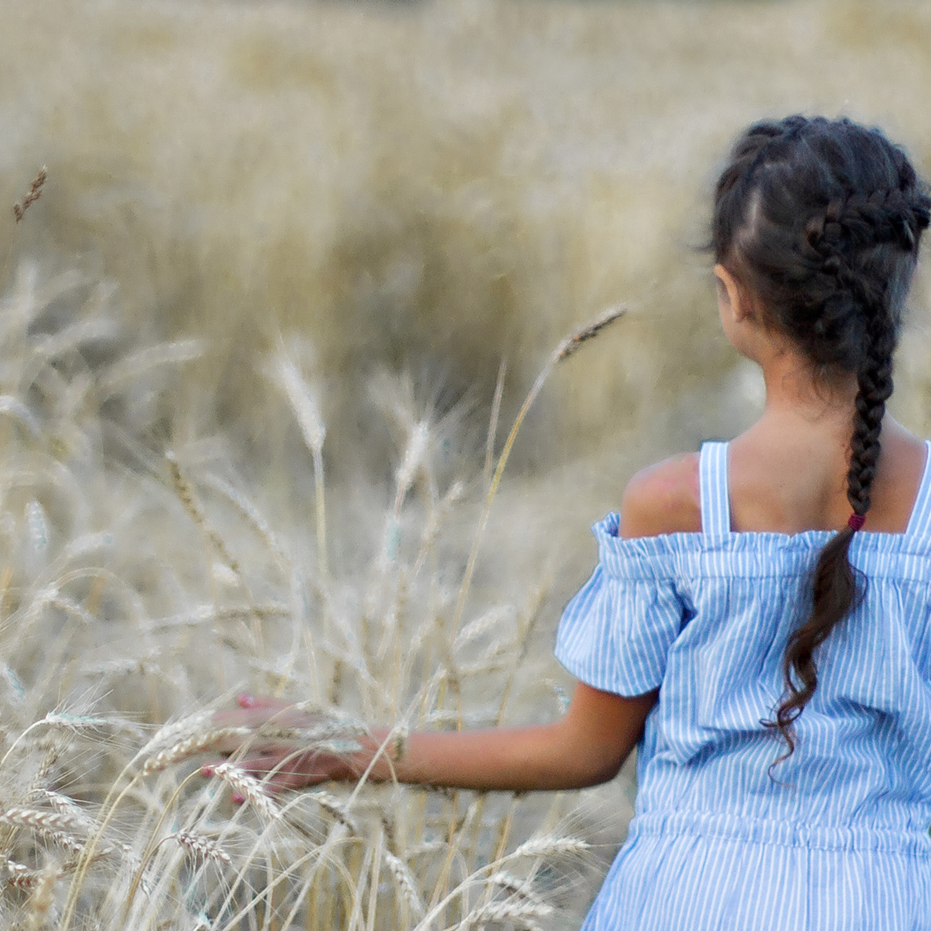 Фотосессия в пшеничном поле