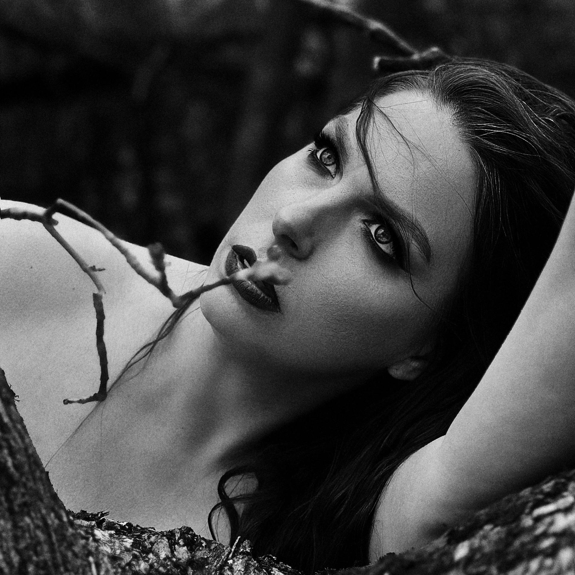 Творческая съёмка. Мобильный фотограф