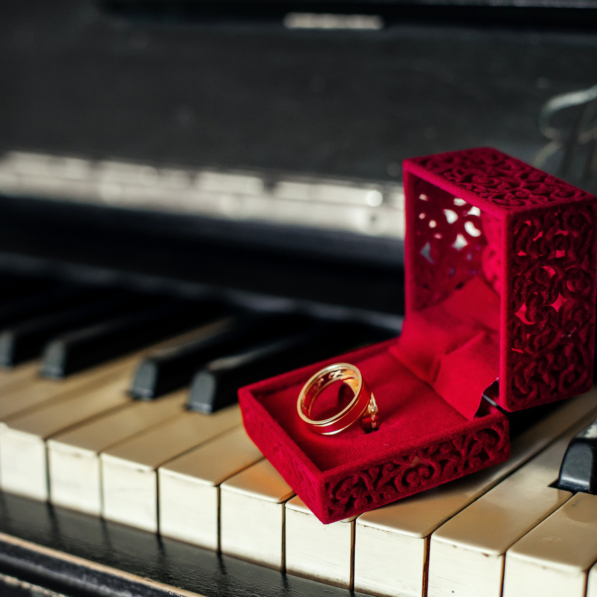 Отзывы. Фотограф Маргарита Никишина