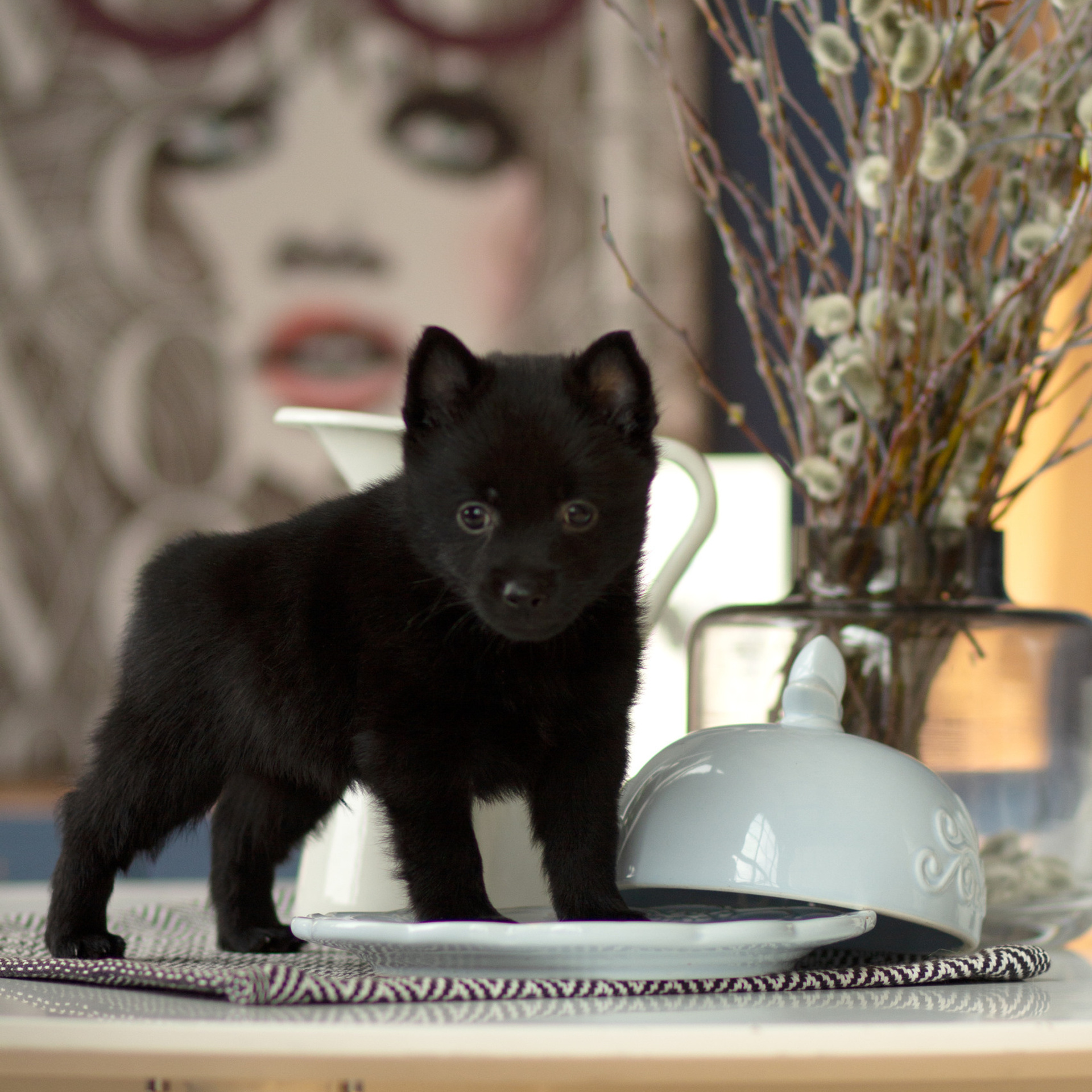 Отзывы клиентов — фотограф в Хабаровске. Алена Попова — фотограф в Хабаровске