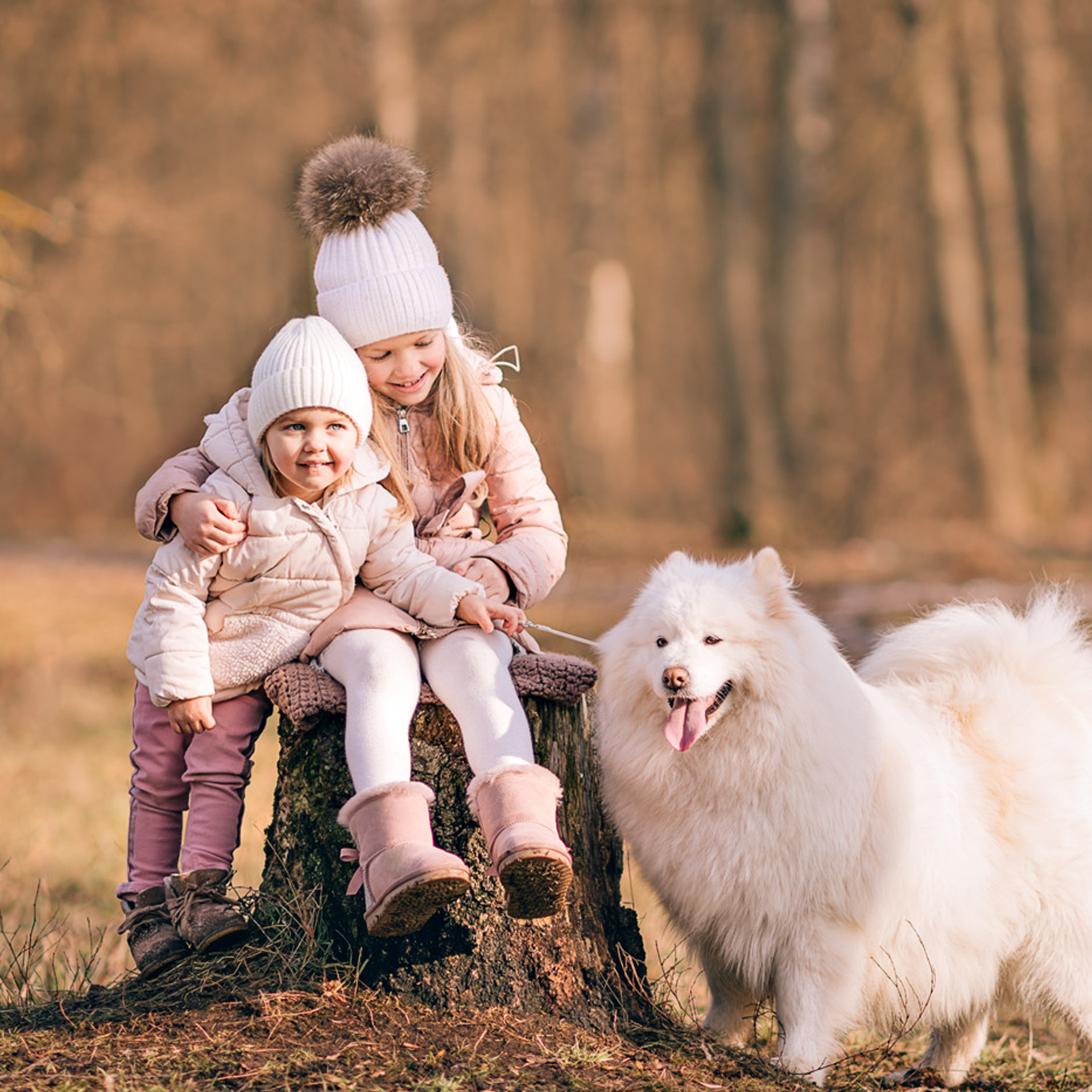 АРЕНДА ЖИВОТНЫХ. Фотограф беременности и новорожденных малышей Анастасия Никитина