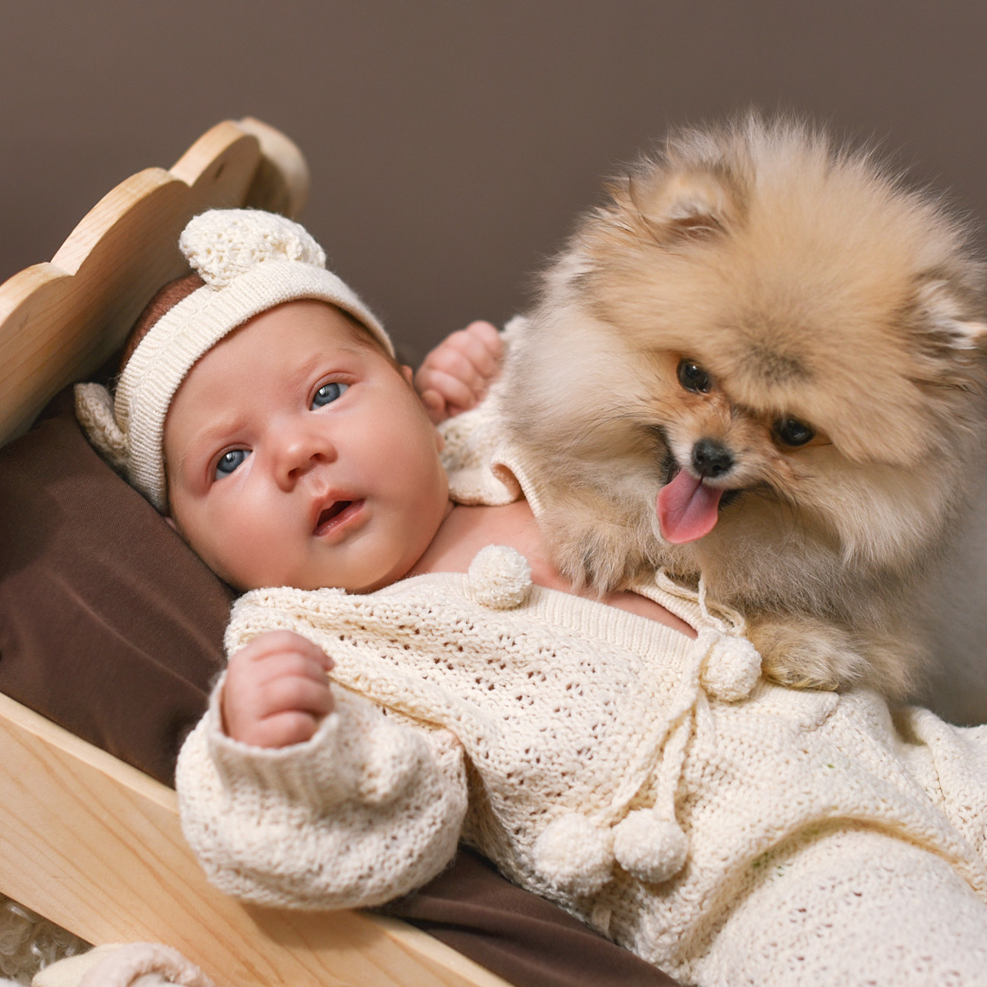 АРЕНДА ЖИВОТНЫХ. Фотограф беременности и новорожденных малышей Анастасия Никитина