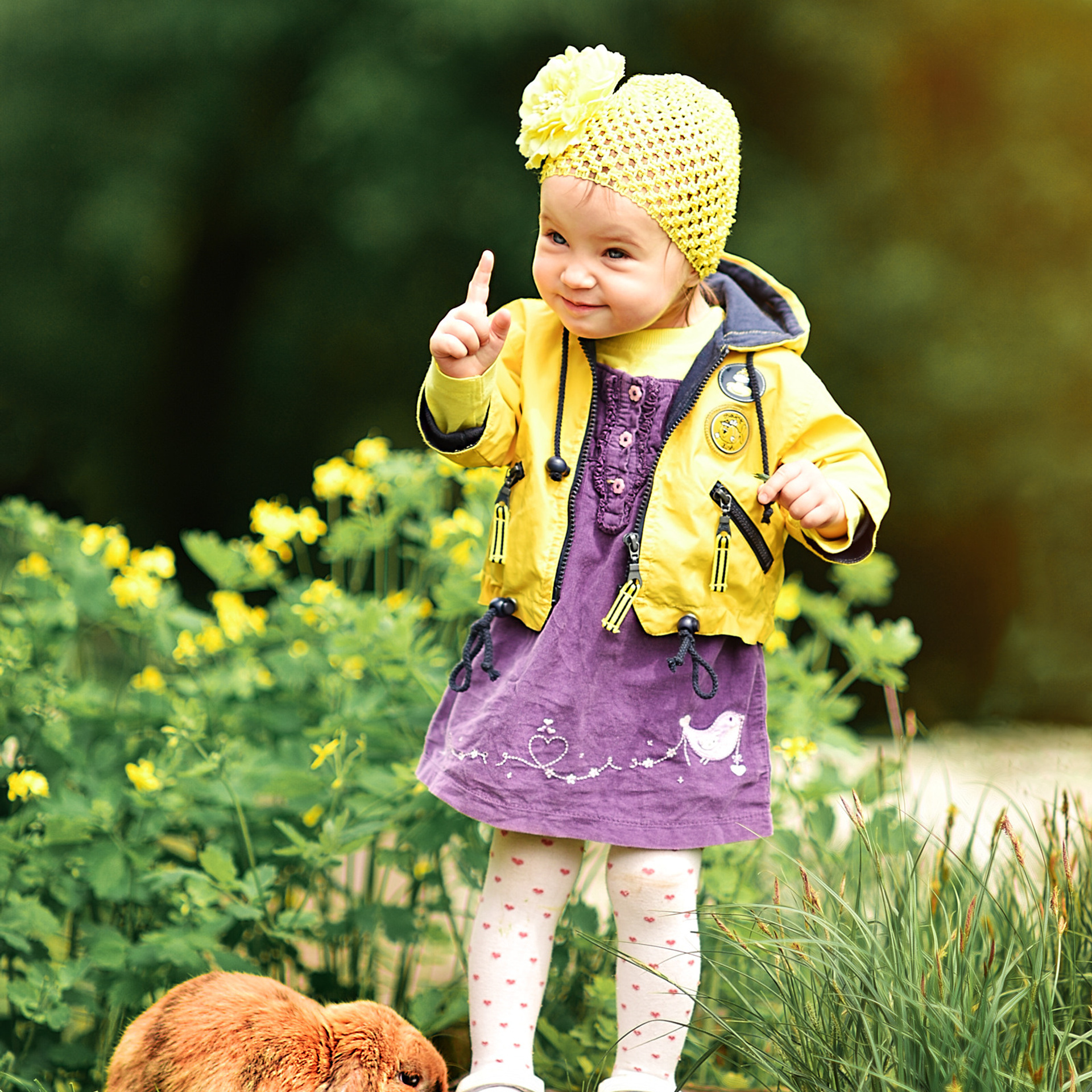 АРЕНДА ЖИВОТНЫХ. Фотограф беременности и новорожденных малышей Анастасия Никитина