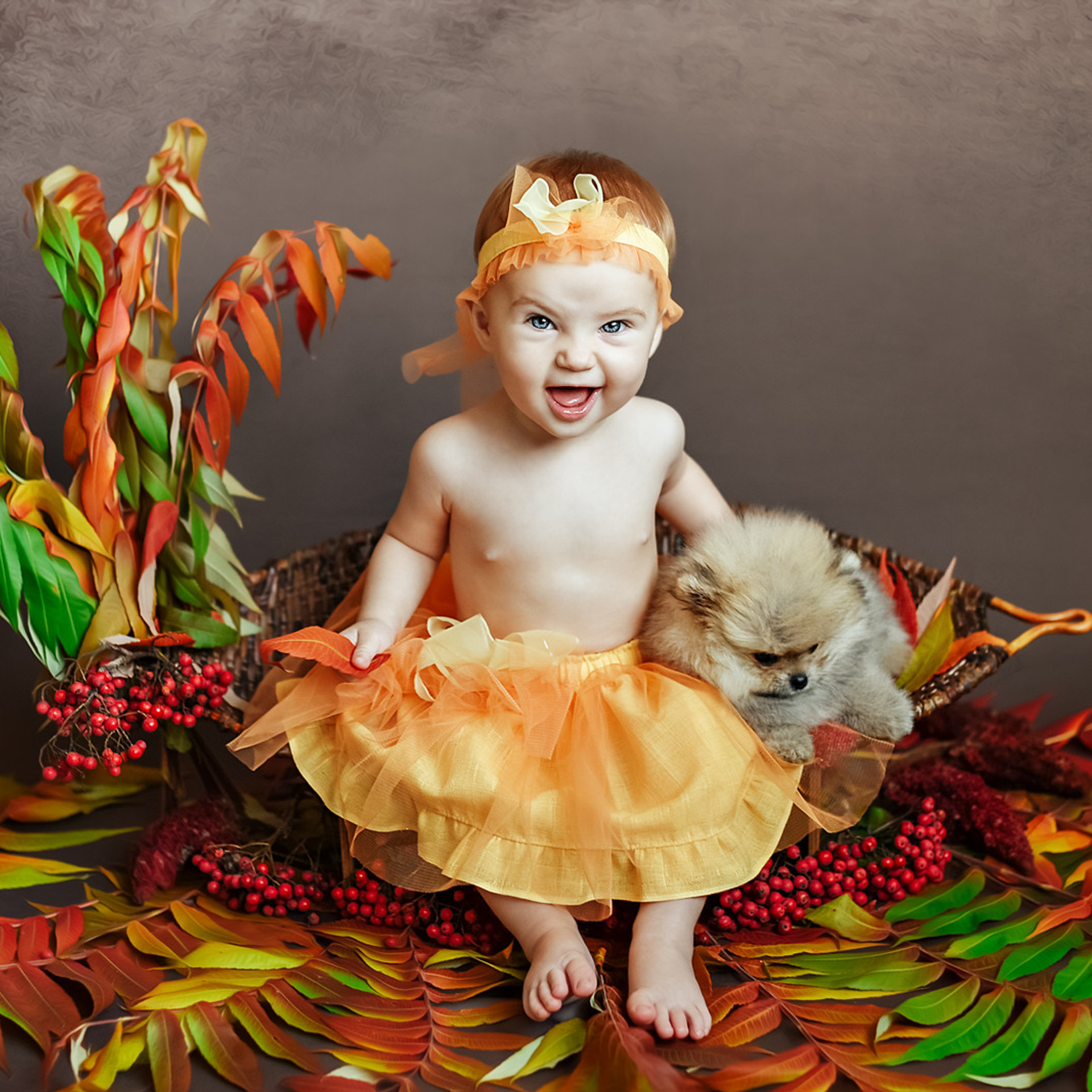 АРЕНДА ЖИВОТНЫХ. Фотограф беременности и новорожденных малышей Анастасия Никитина