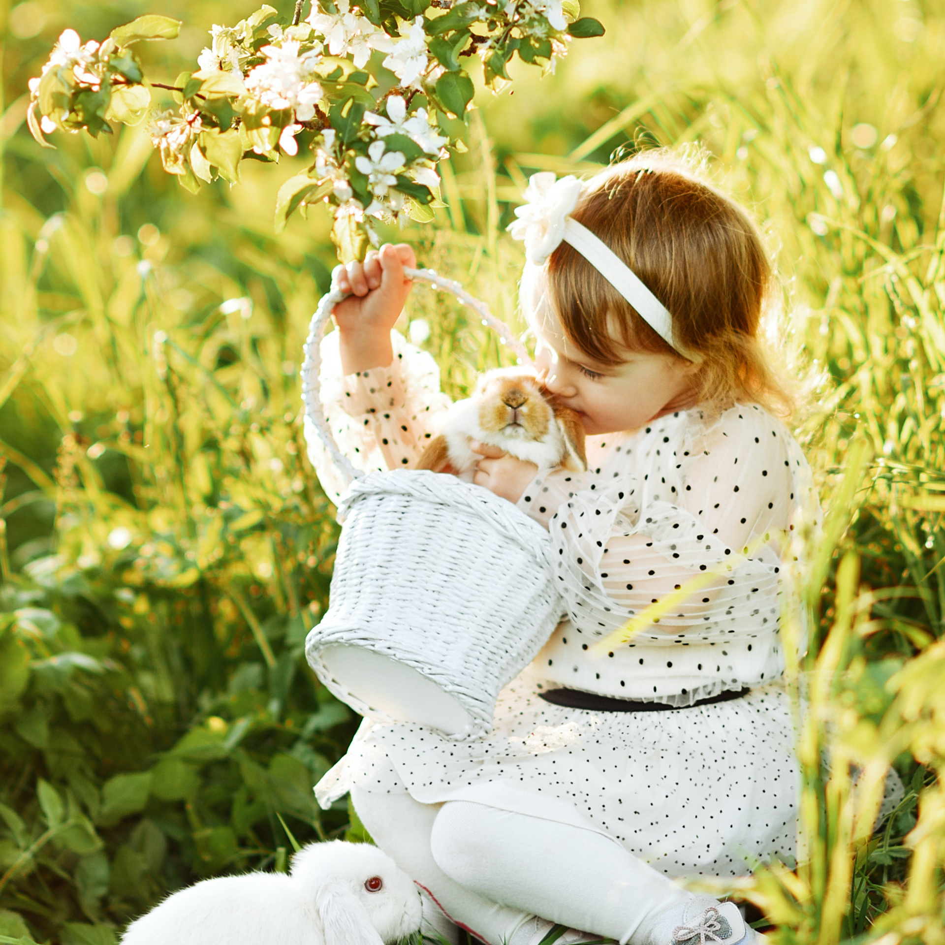 АРЕНДА ЖИВОТНЫХ. Фотограф беременности и новорожденных малышей Анастасия Никитина