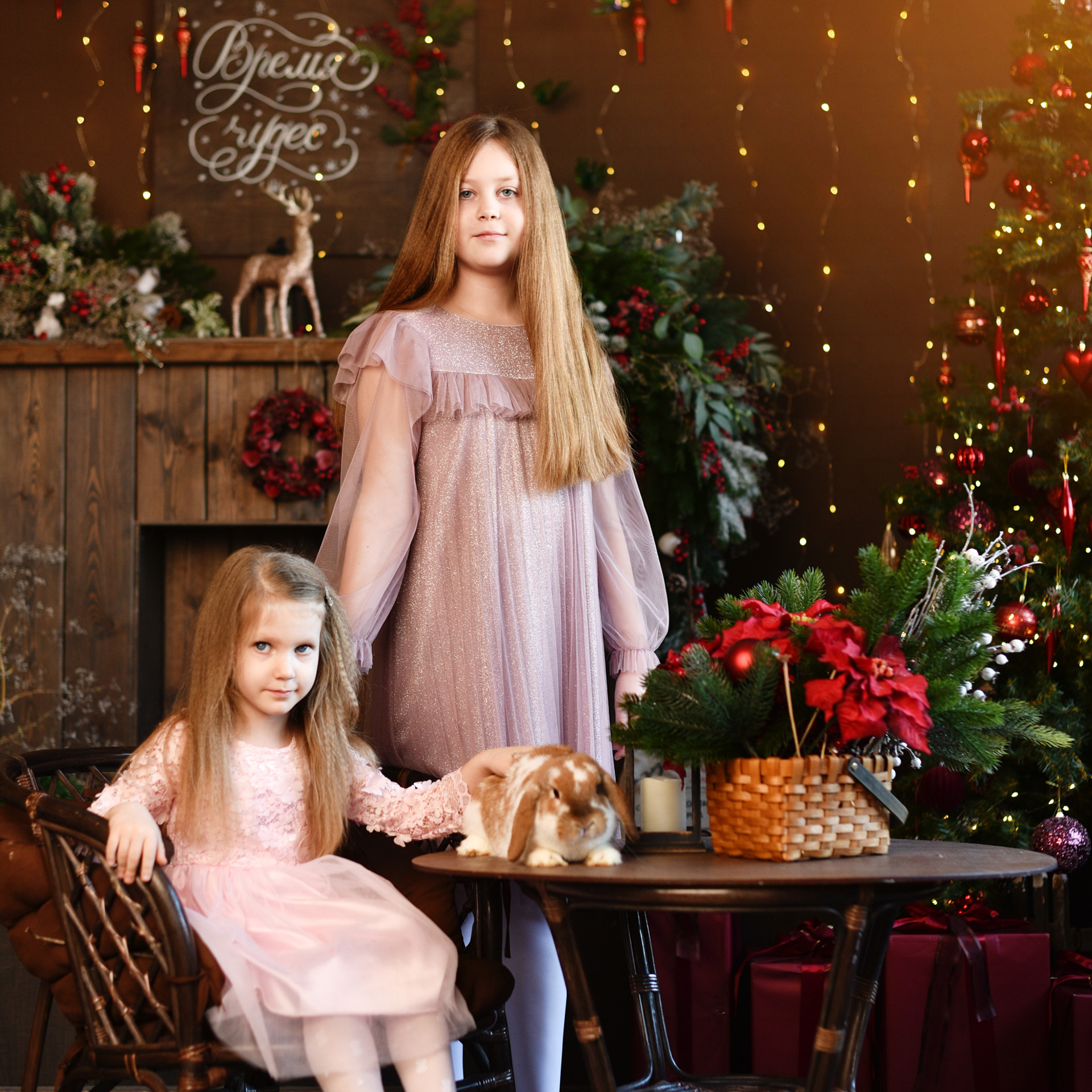 АРЕНДА ЖИВОТНЫХ. Фотограф беременности и новорожденных малышей Анастасия Никитина