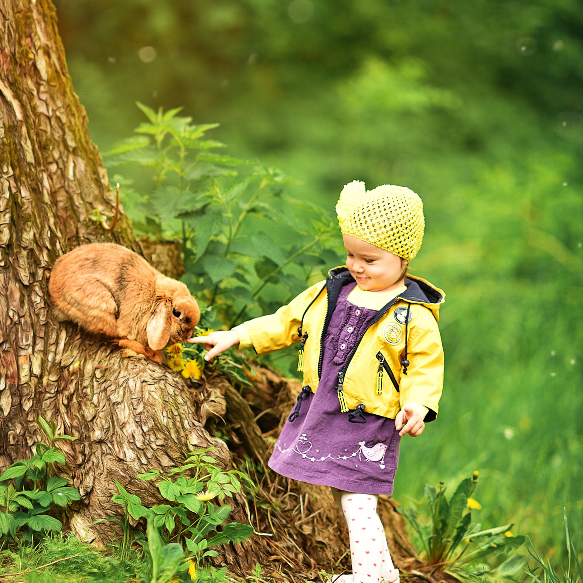 АРЕНДА ЖИВОТНЫХ. Фотограф беременности и новорожденных малышей Анастасия Никитина