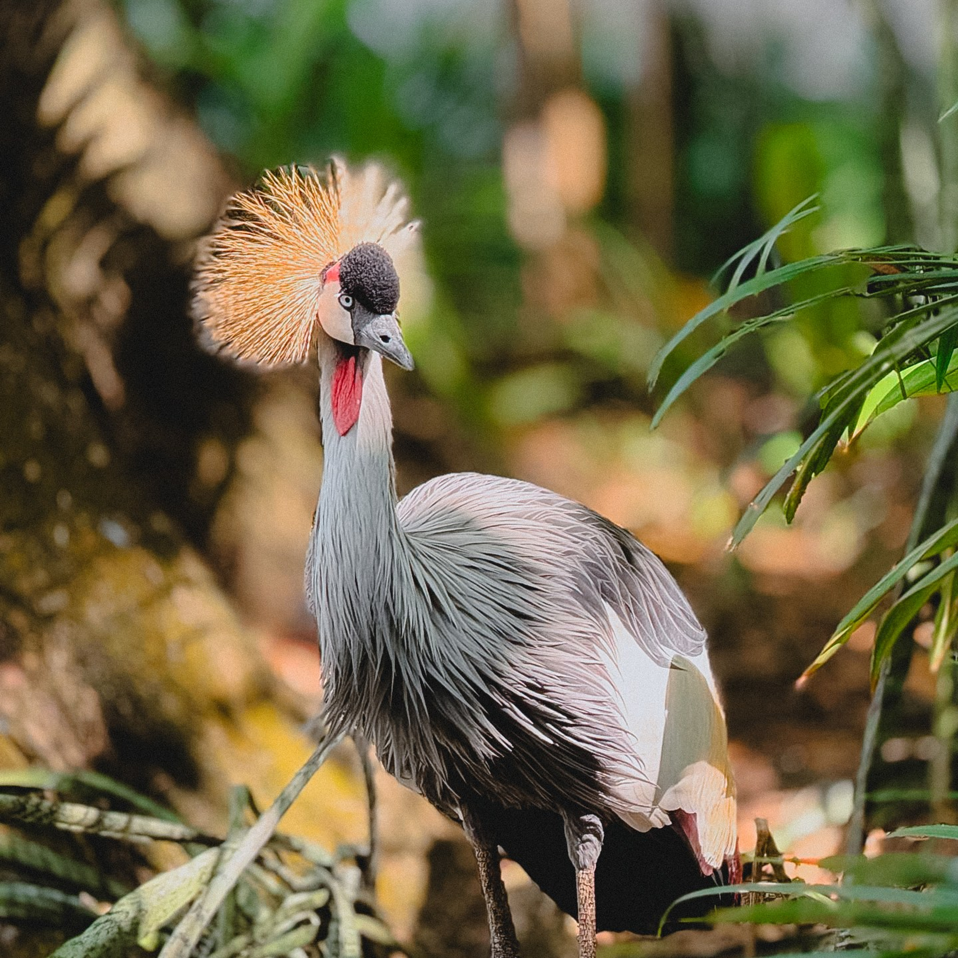 Бронирование отелей и туров на Маврикий
