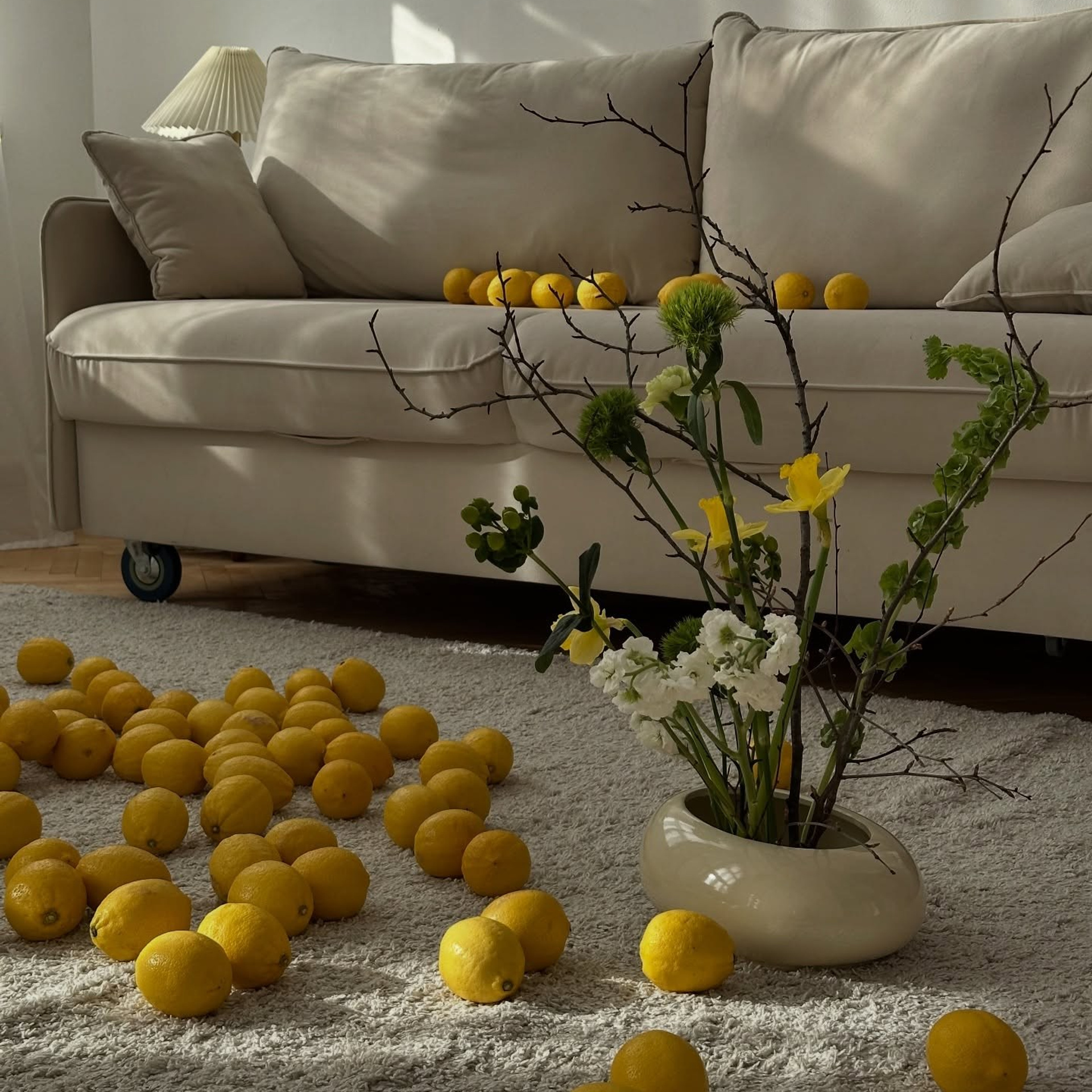 Студия Блисс (Bliss)