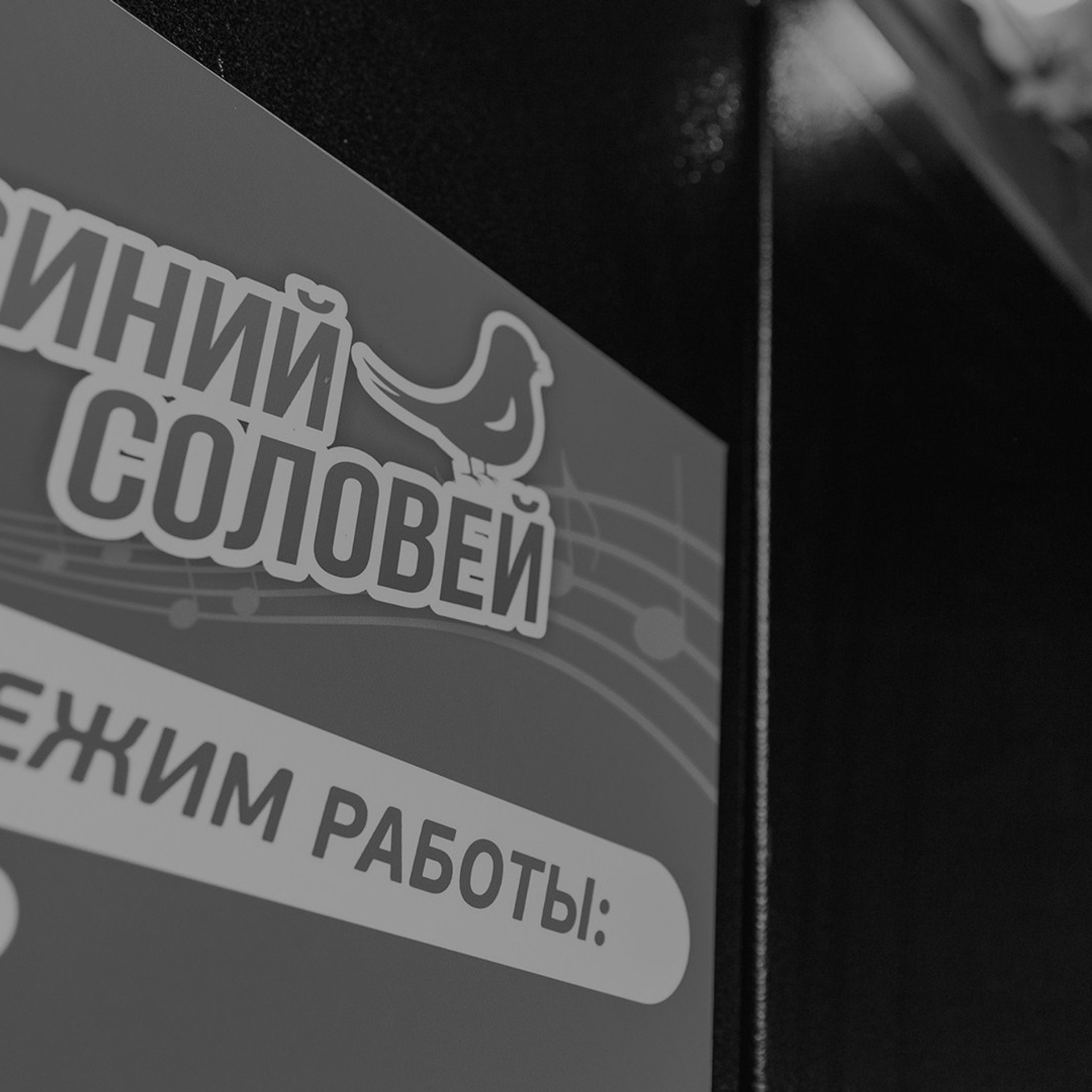 Открытый урок в музыкальной школе «Синий Соловей»