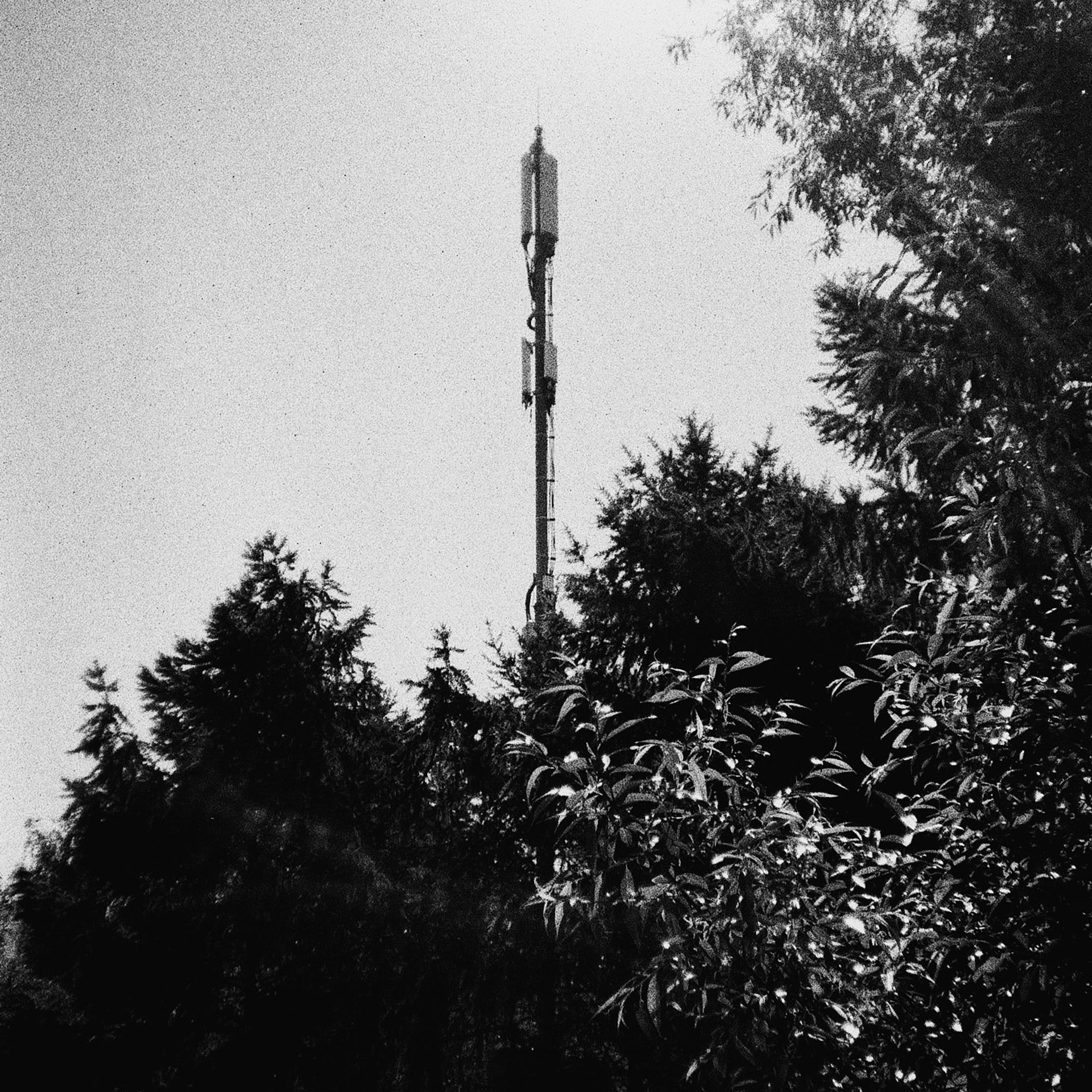 Мне нечего скрывать. Игорь Скабелин