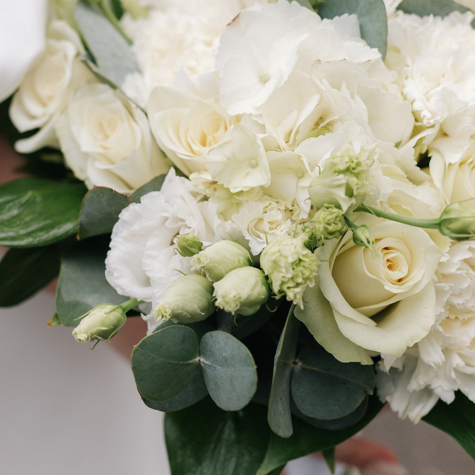 Отзывы. Валентина Ливенцева семейный фотограф