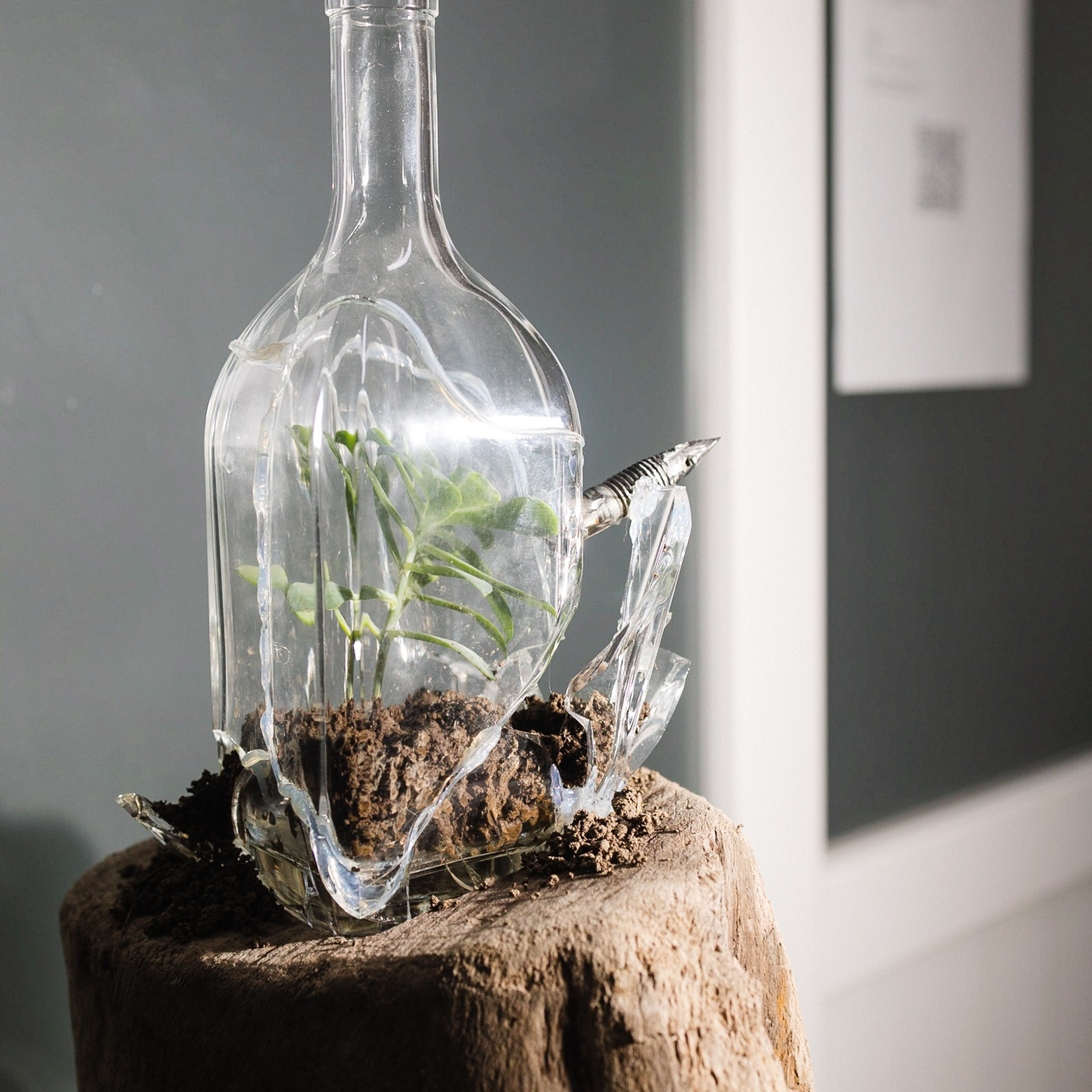 Curatorial projects. Mmiore