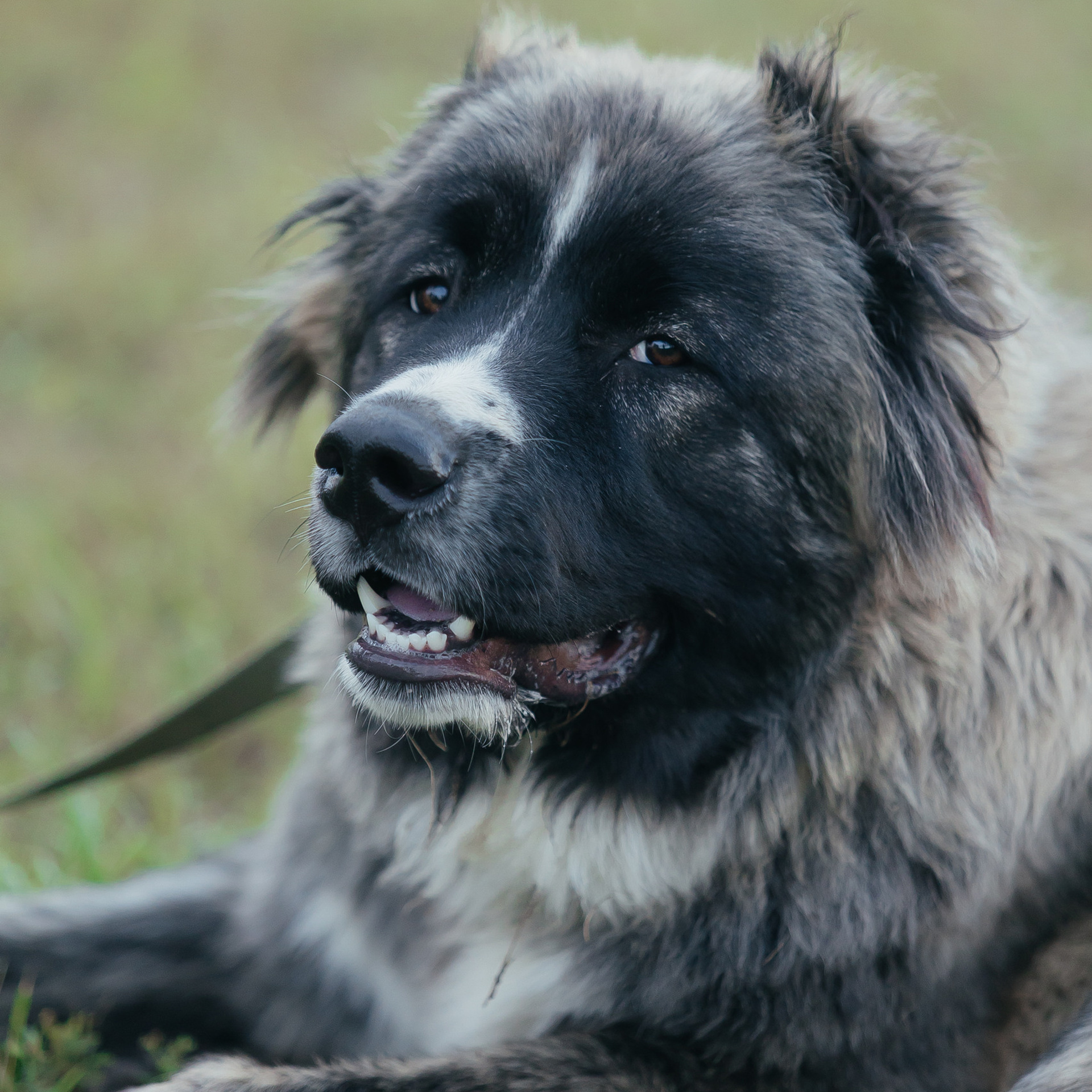Отзывы. Свадебный и женский фотограф