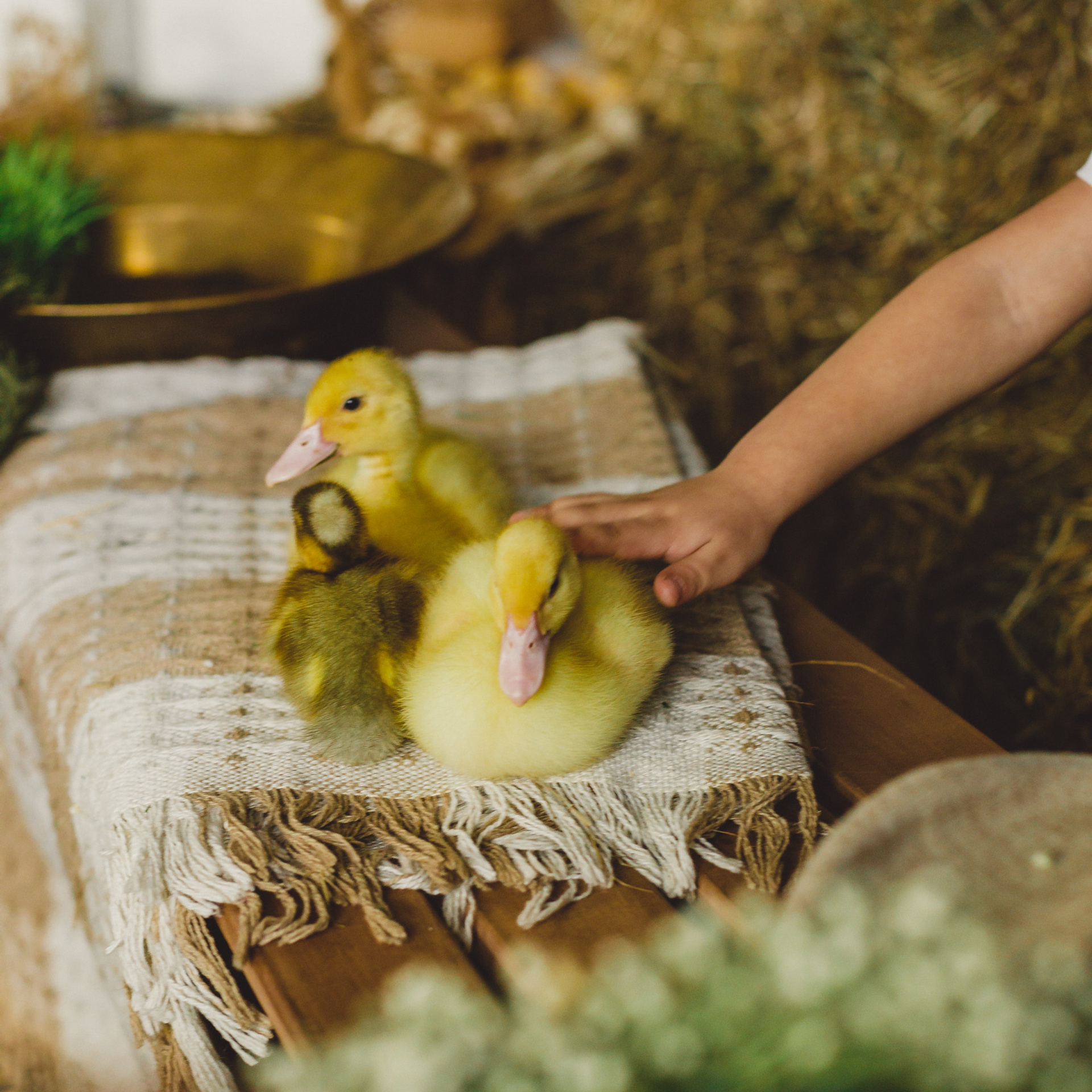 Отзывы клиентов. Свадебный и семейный фотограф Дарья Осипова (Никитина). Саратов