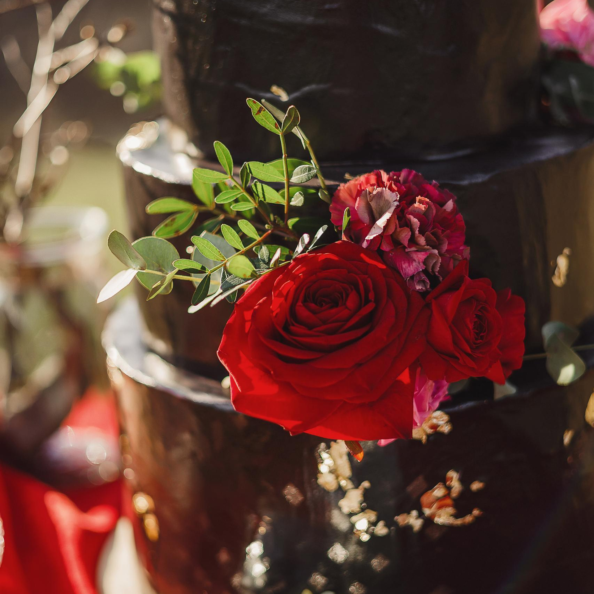 Отзывы клиентов. Свадебный и семейный фотограф Дарья Осипова (Никитина). Саратов