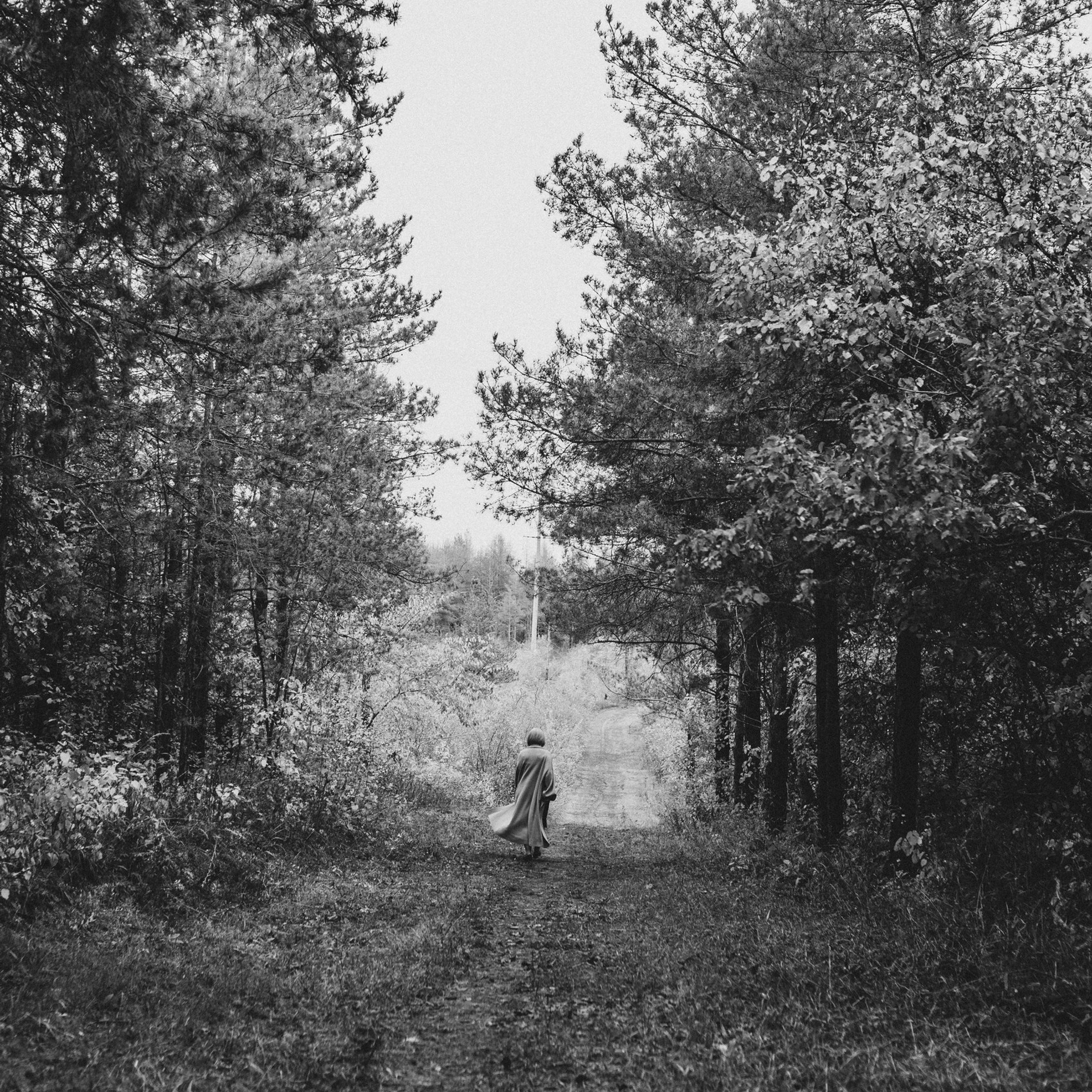 Отзывы. Семейный фотограф в Оренбурге Юлия Зиборева