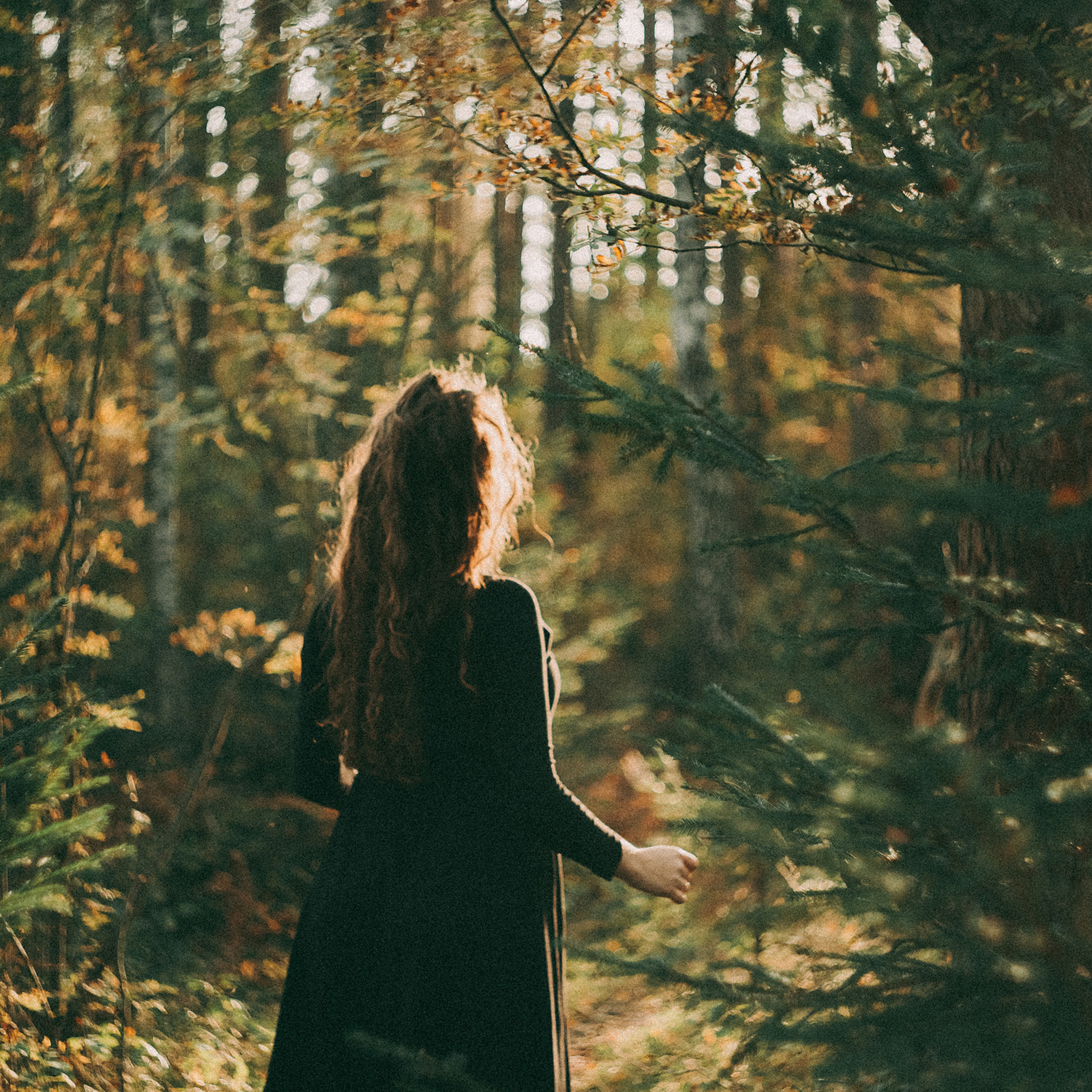 Алиса Аницкая. Фотограф Смоленск, МСК, СПБ. Отзывы. Алиса Аницкая