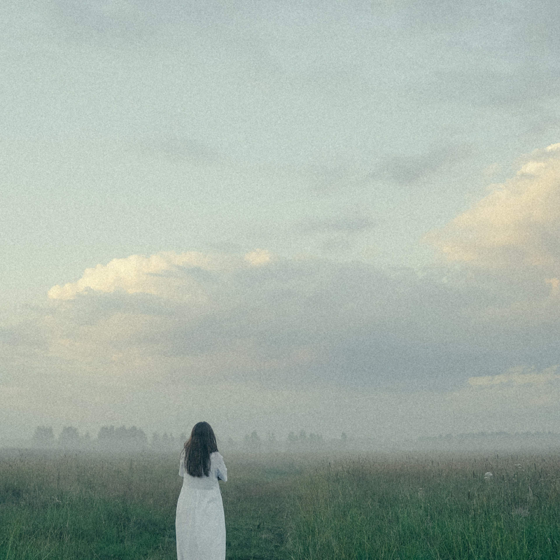 Алиса Аницкая. Фотограф Смоленск, МСК, СПБ. Отзывы. Алиса Аницкая