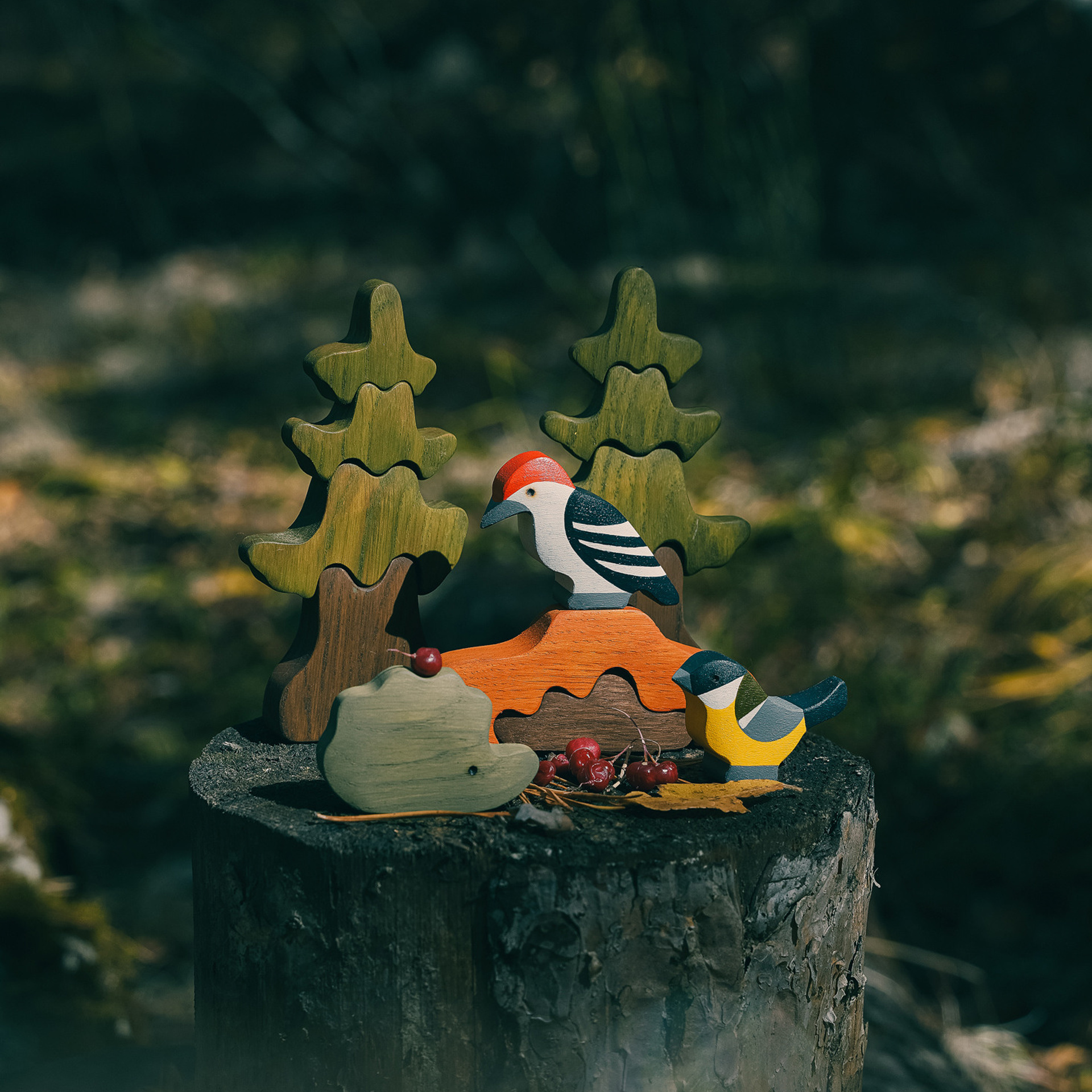 Алиса Аницкая. Фотограф Смоленск, МСК, СПБ. Отзывы. Алиса Аницкая