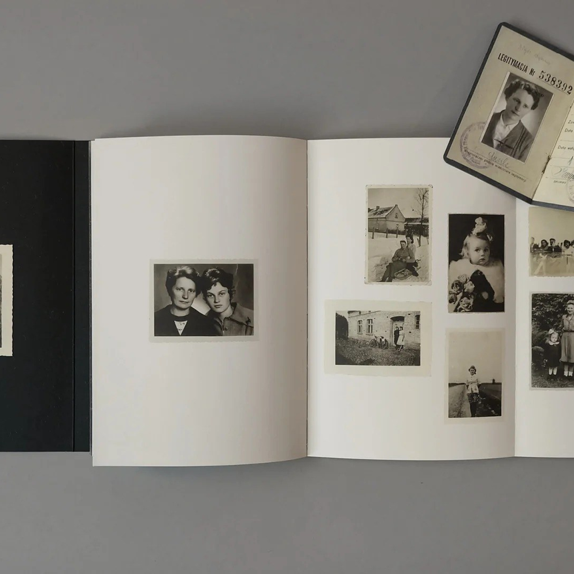 Блог. Самоорганизация Низина