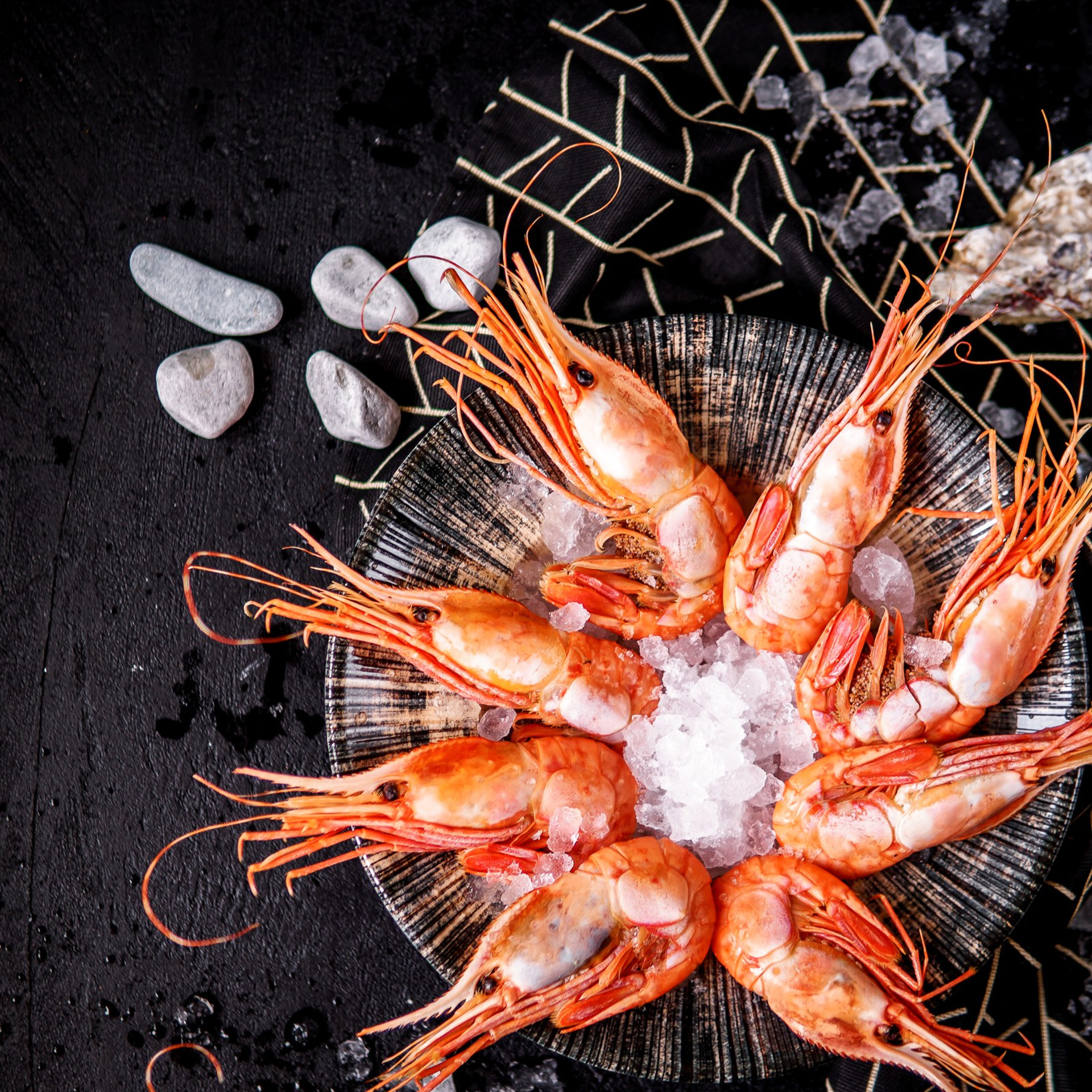 Держи Краба