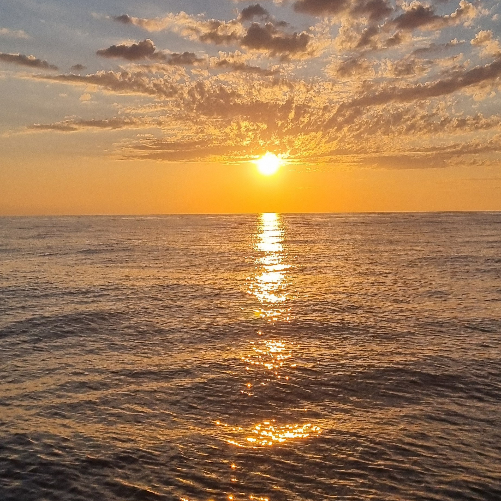 Отзывы. Аренда Яхт и Катеров в Сочи