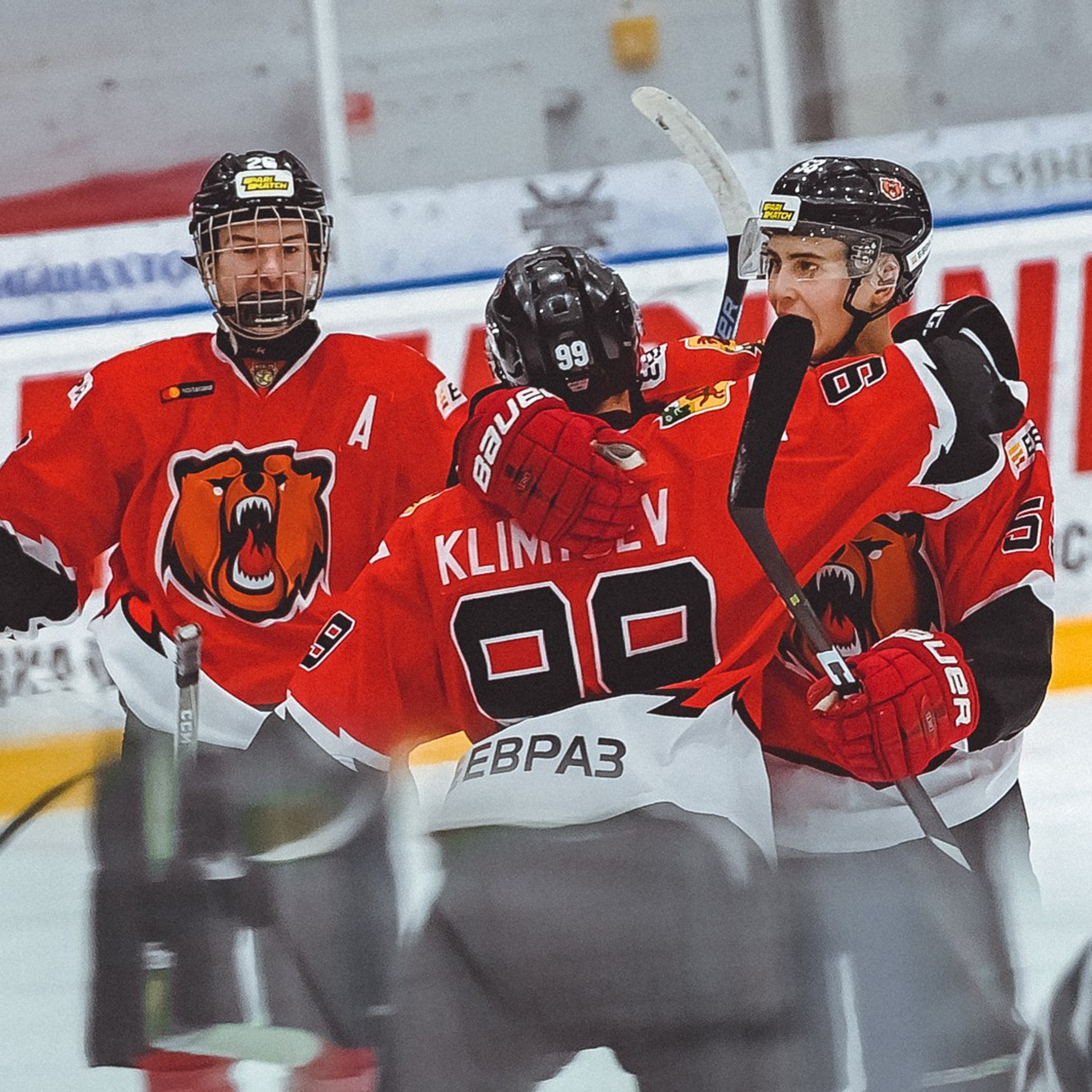 Медведи-Толпар