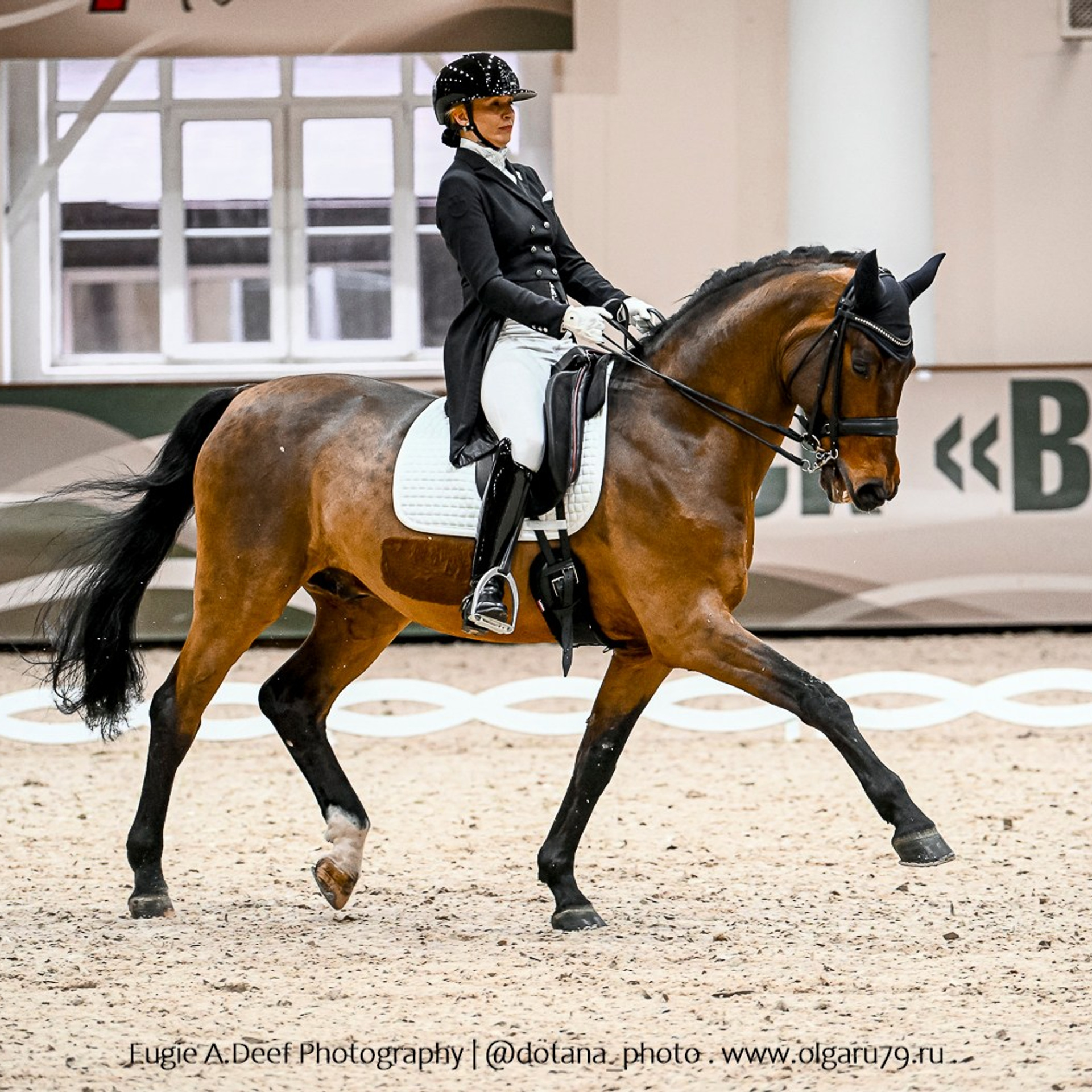 Зимний Кубок ФКСМ по выездке (Виват, Россия!). ТУРНИРНАЯ КОННАЯ ФОТОГРАФИЯ, Руднева Ольга и Евгений Адеев