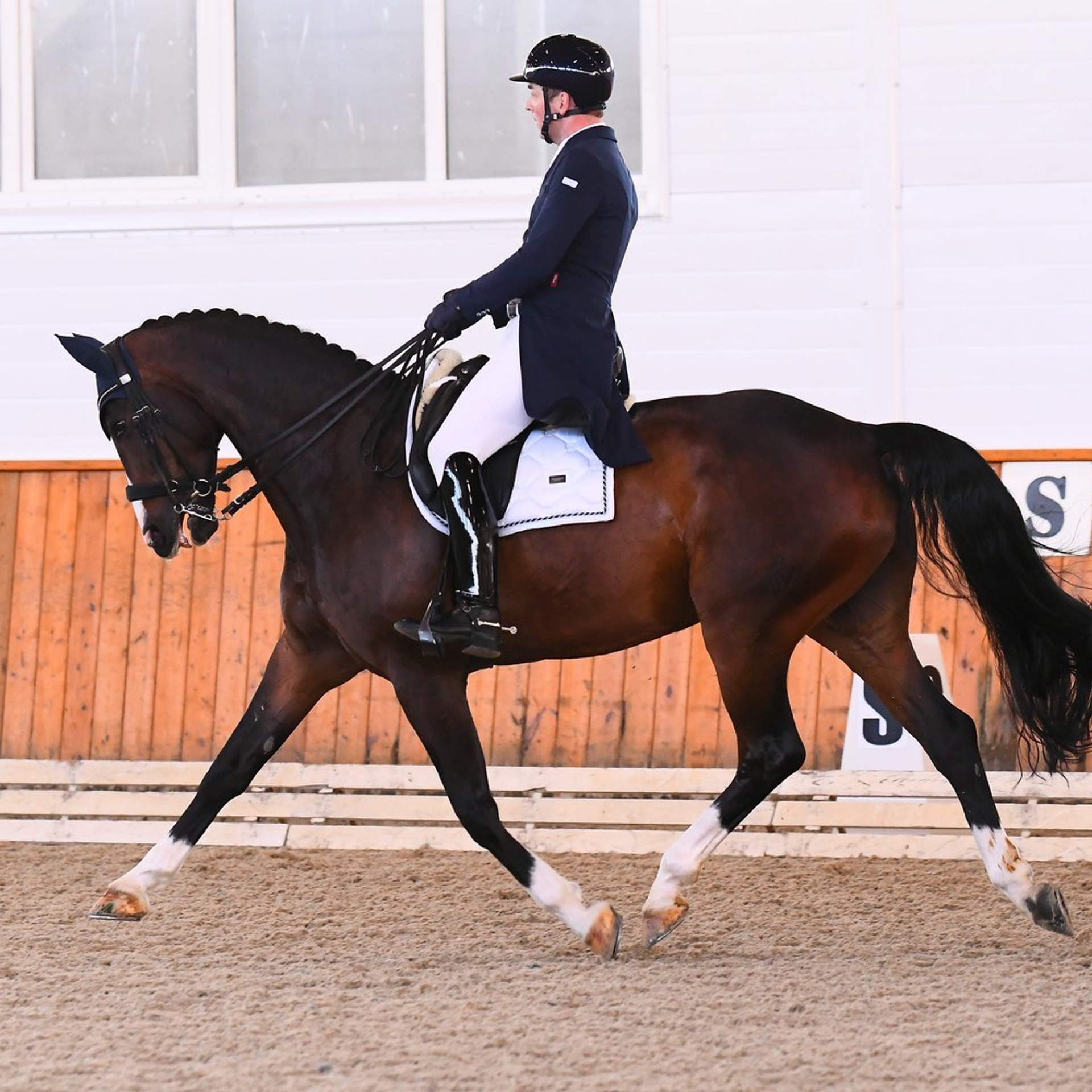ТУРНИРНАЯ КОННАЯ ФОТОГРАФИЯ, Руднева Ольга и Евгений Адеев