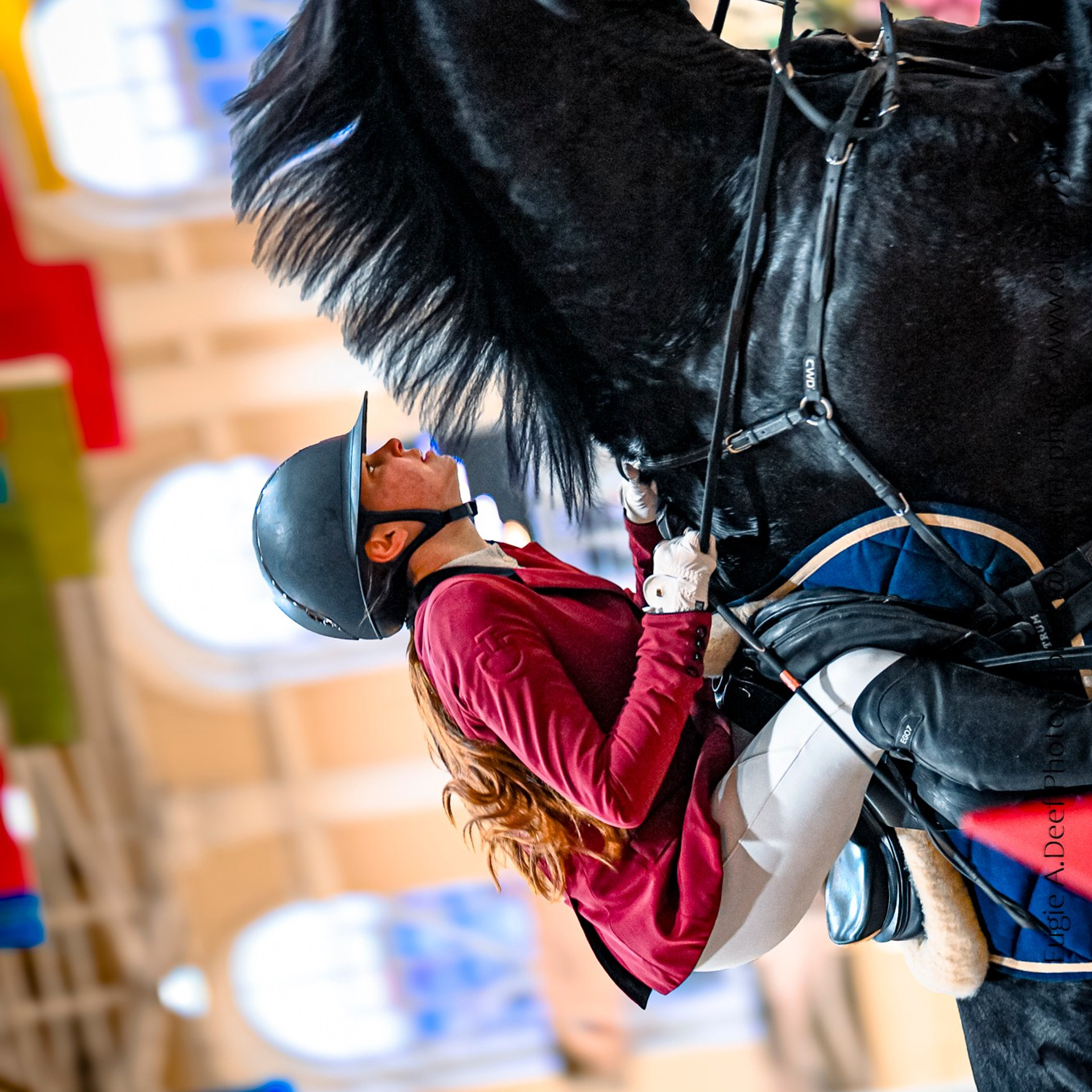 2025.12.05 — КСК ВИВАТ, Россия! — конкур, кубок ФКСМ. ТУРНИРНАЯ КОННАЯ ФОТОГРАФИЯ, Руднева Ольга и Евгений Адеев