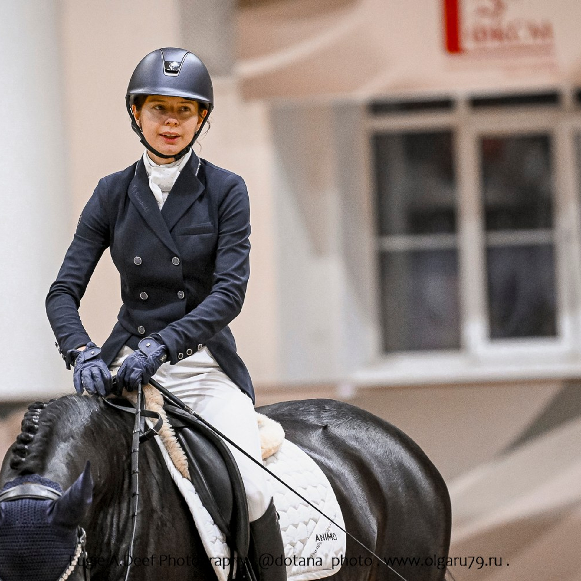 Зимний Кубок ФКСМ по выездке (Виват, Россия!). ТУРНИРНАЯ КОННАЯ ФОТОГРАФИЯ, Руднева Ольга и Евгений Адеев